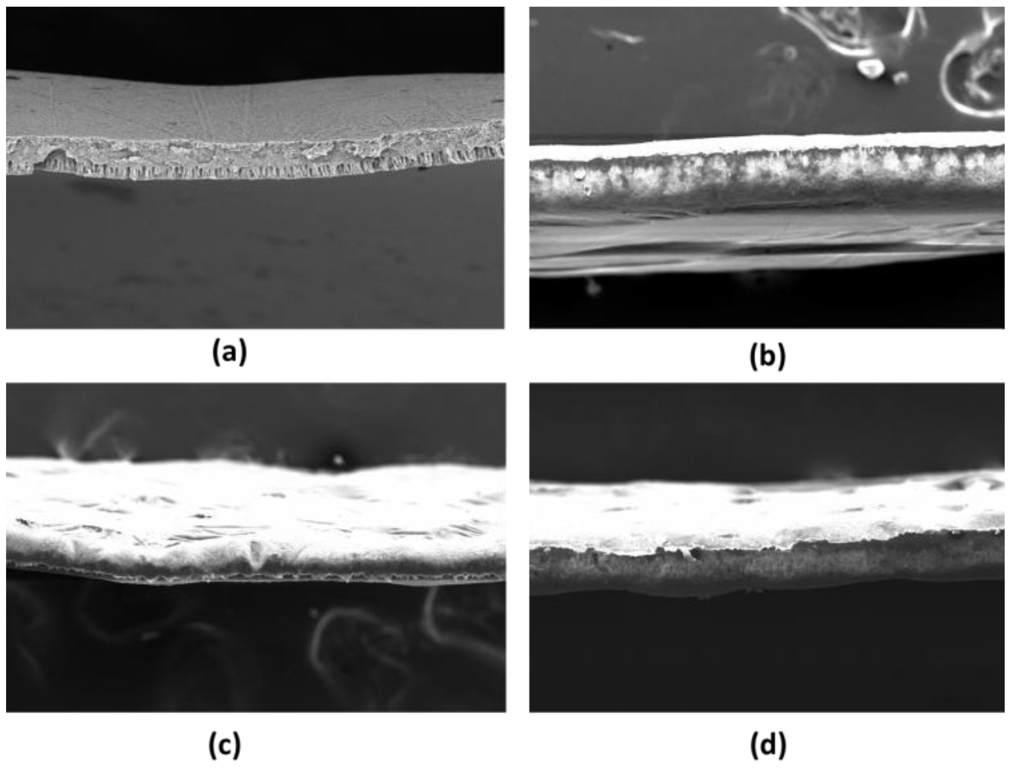 Membranes 11 00948 g004