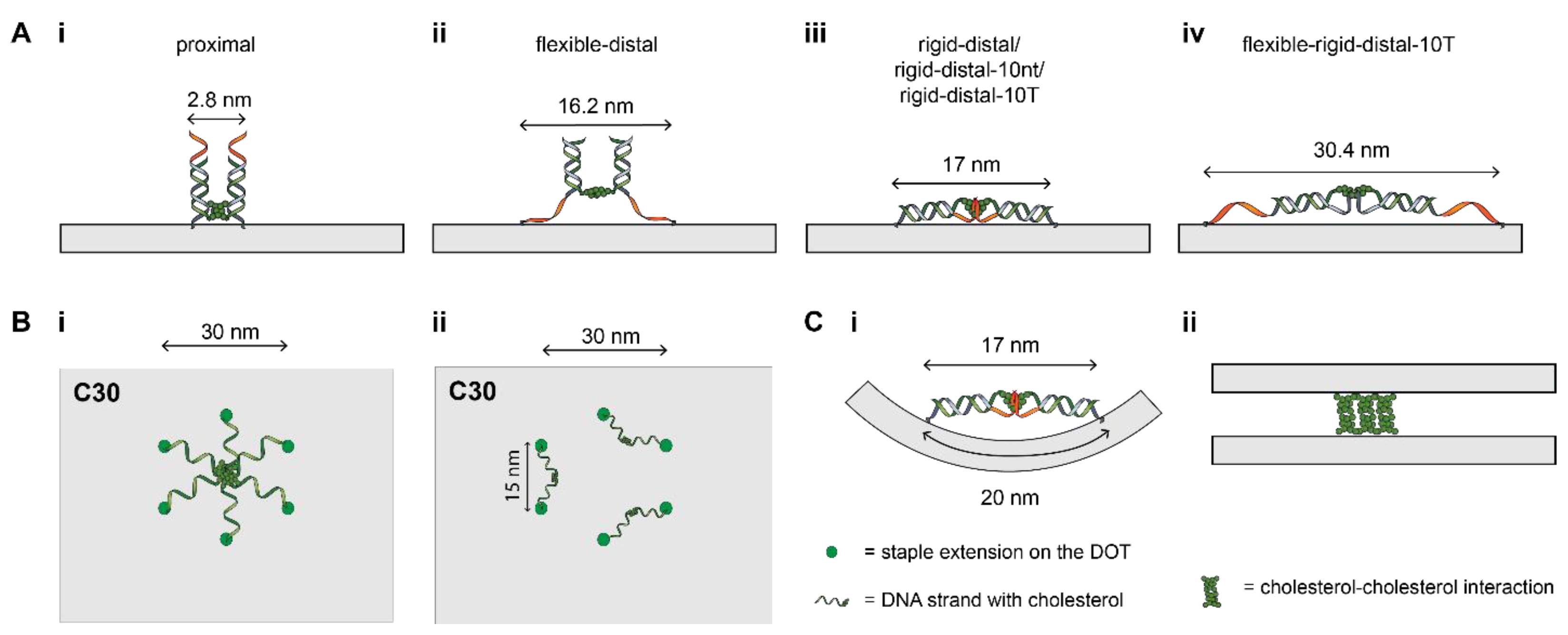 Membranes 11 00950 g003