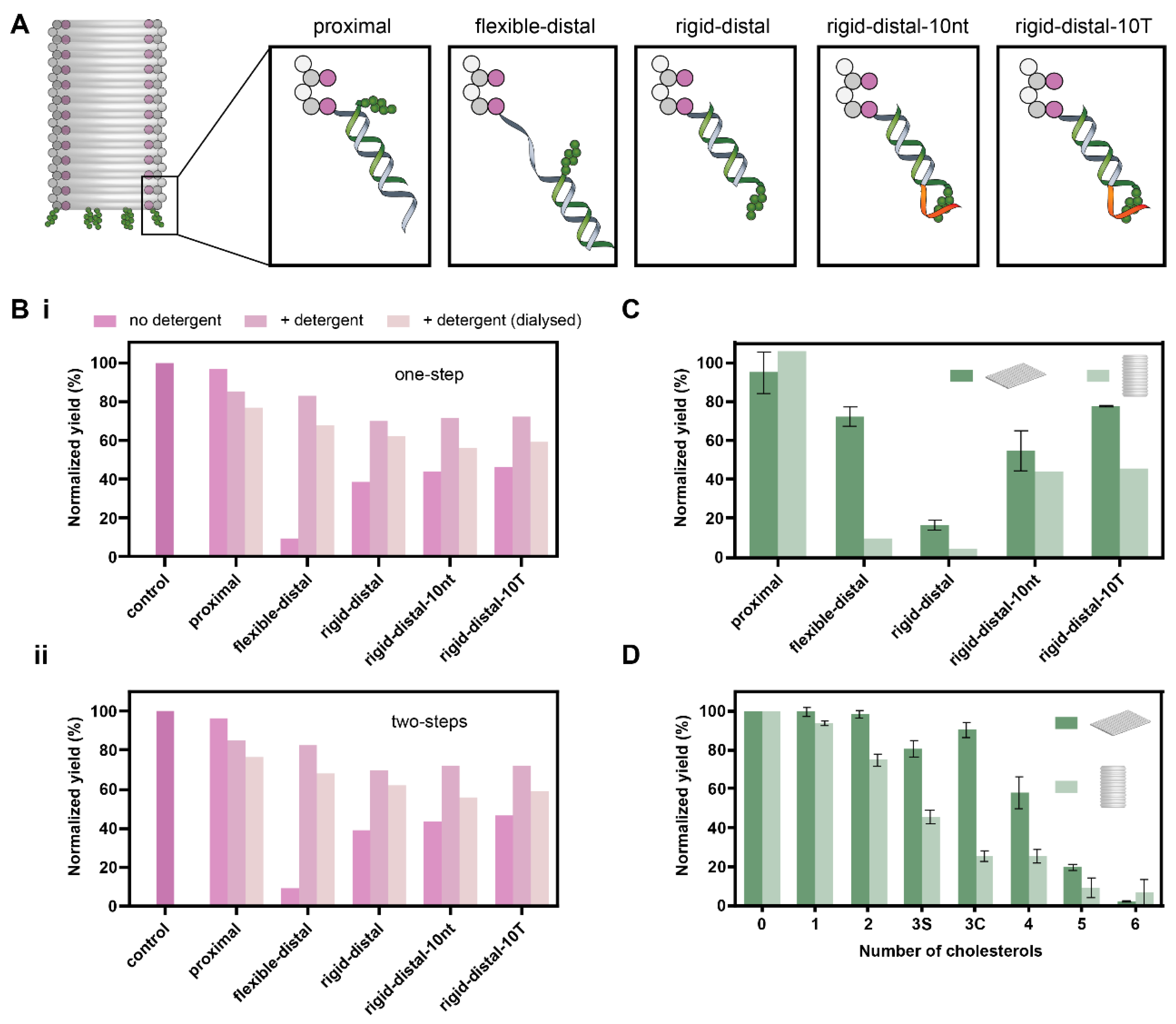 Membranes 11 00950 g004
