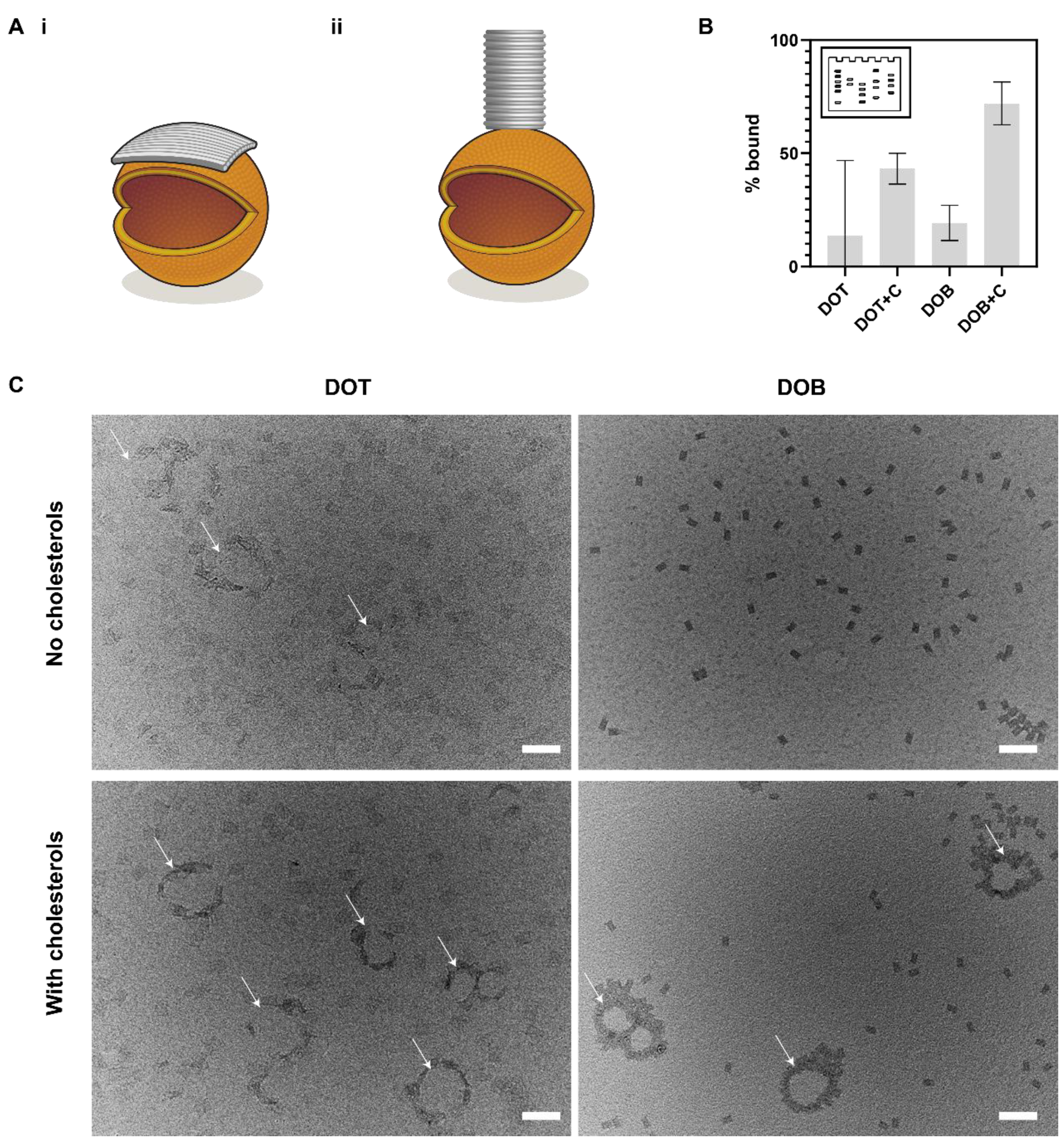 Membranes 11 00950 g005