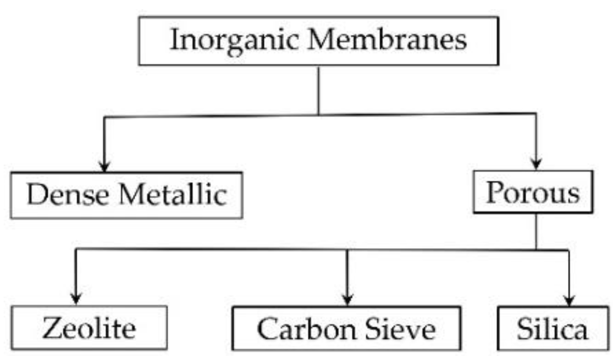 Membranes 11 00955 g002