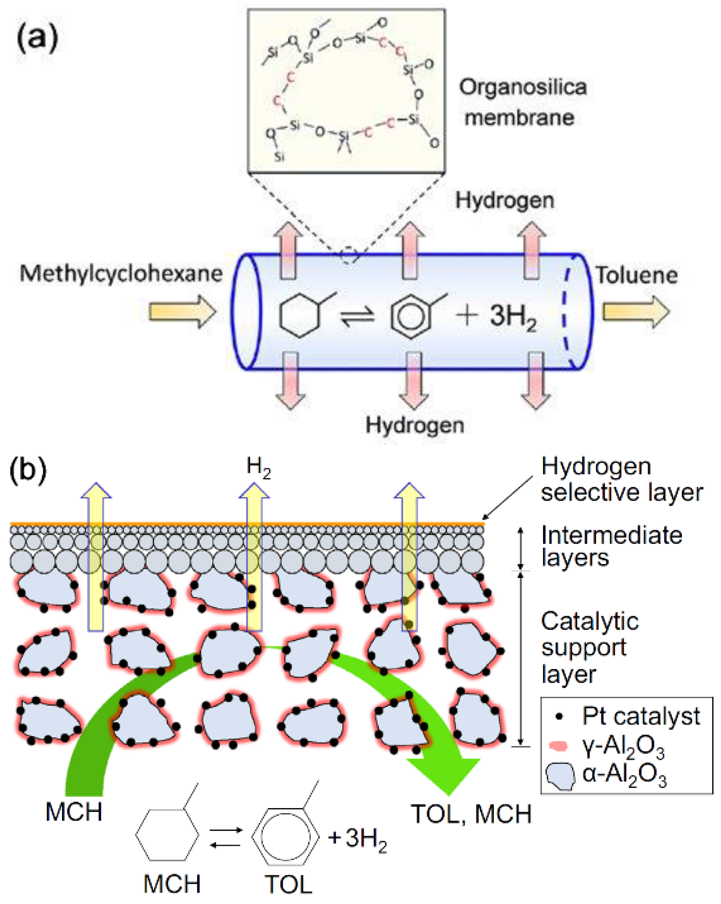 Membranes 11 00955 g007