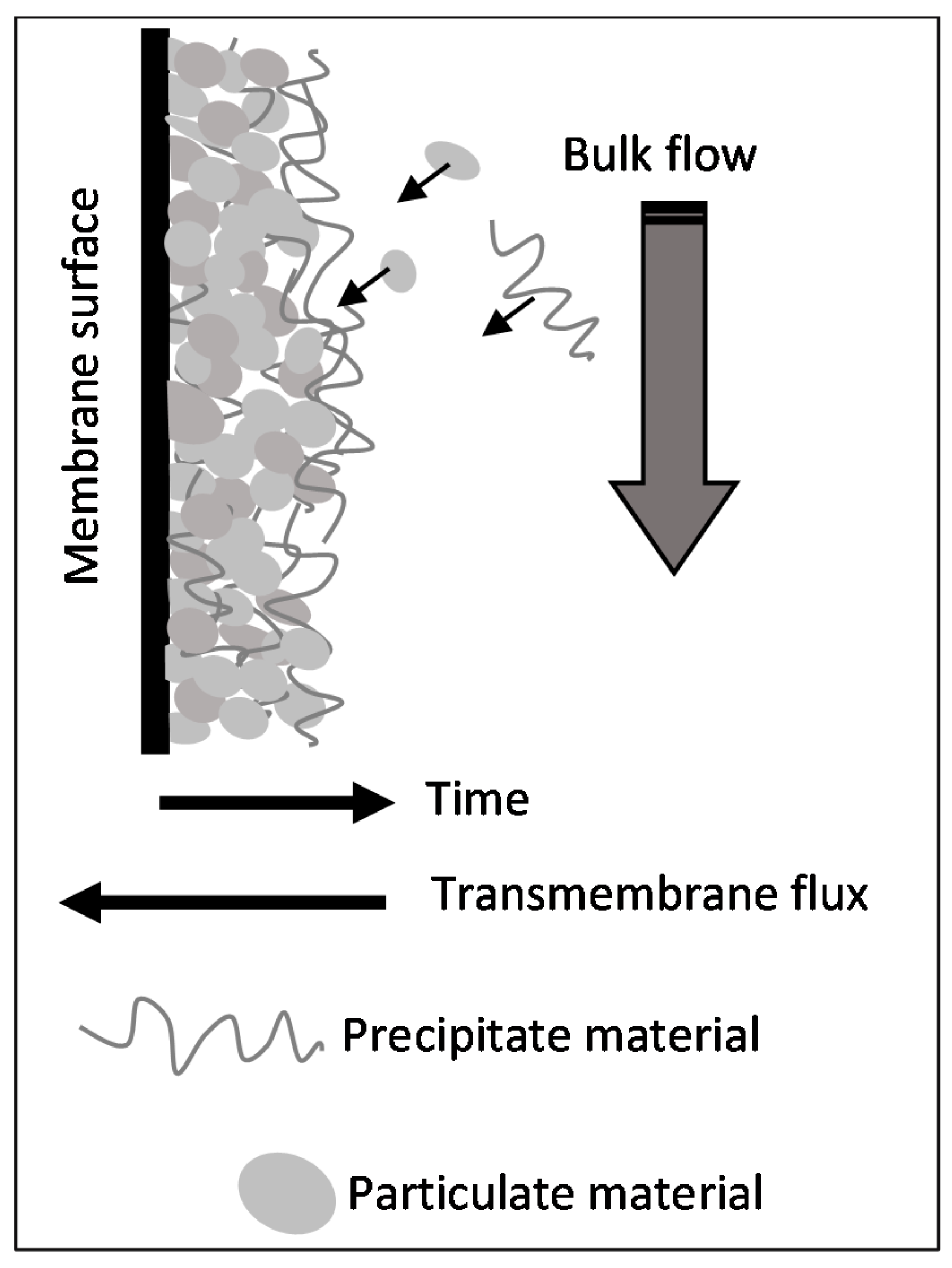 Membranes 11 00958 g012