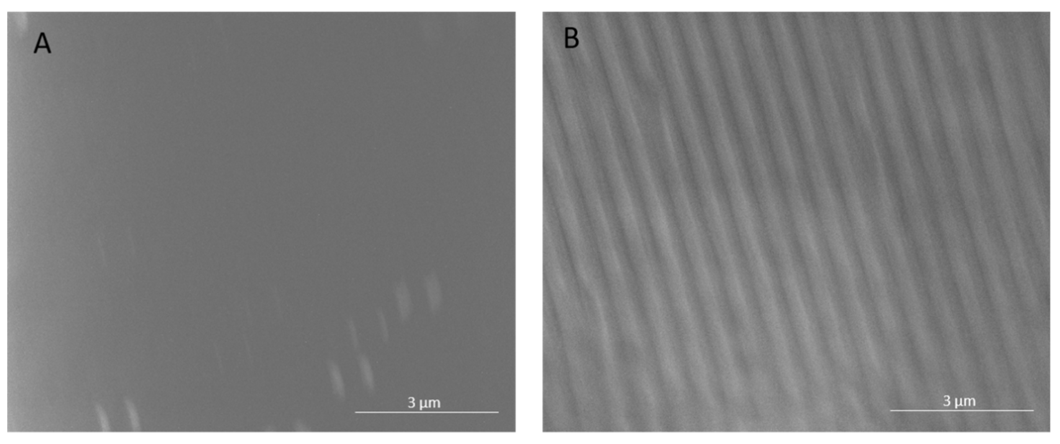 Membranes 11 00961 g002