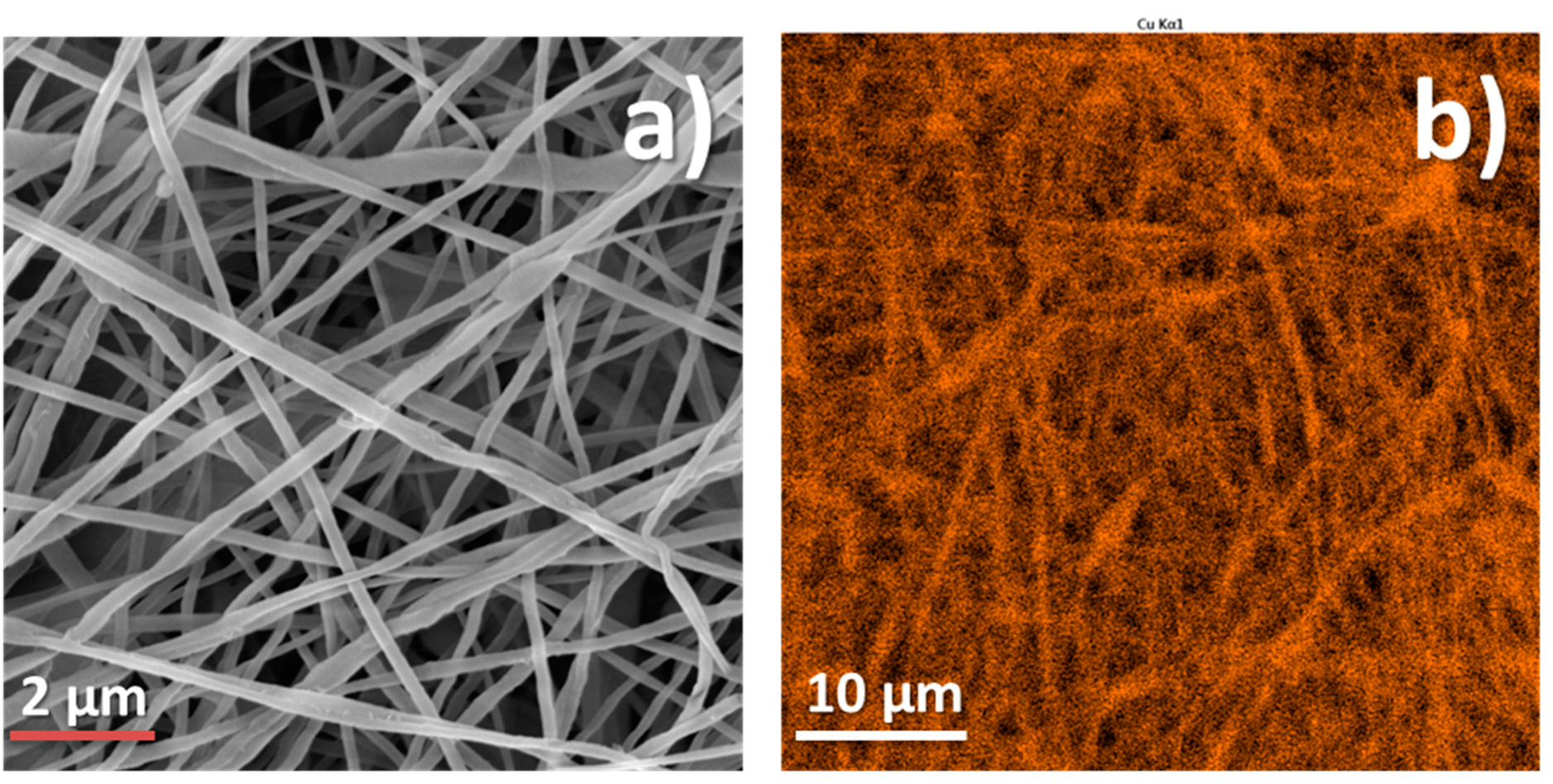 Membranes 11 00965 g004