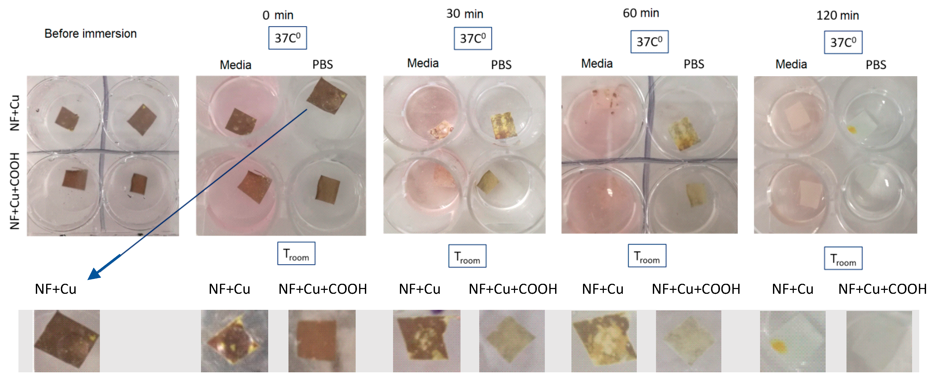 Membranes 11 00965 g009