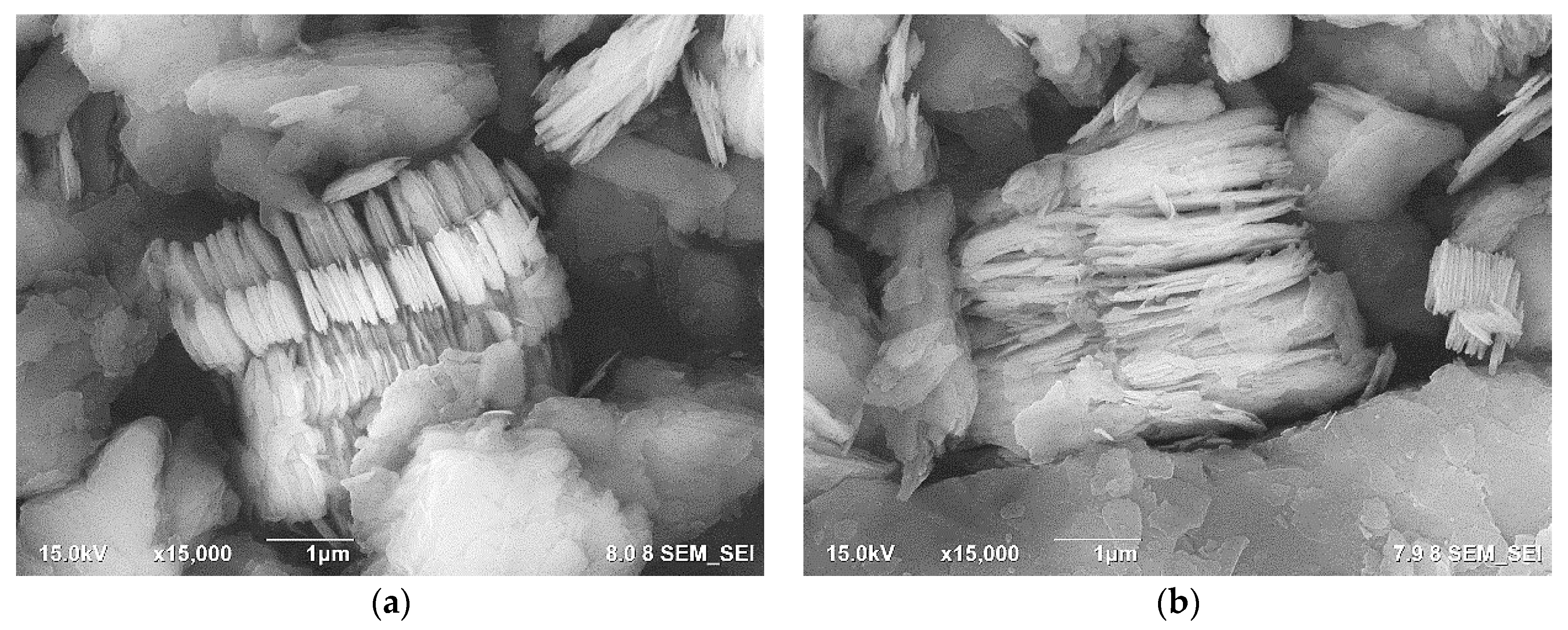 Membranes 11 00966 g003