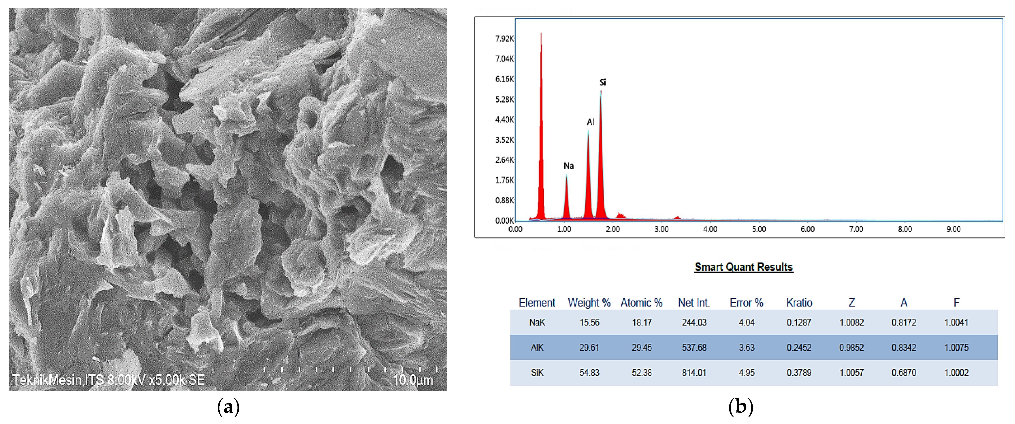 Membranes 11 00966 g004