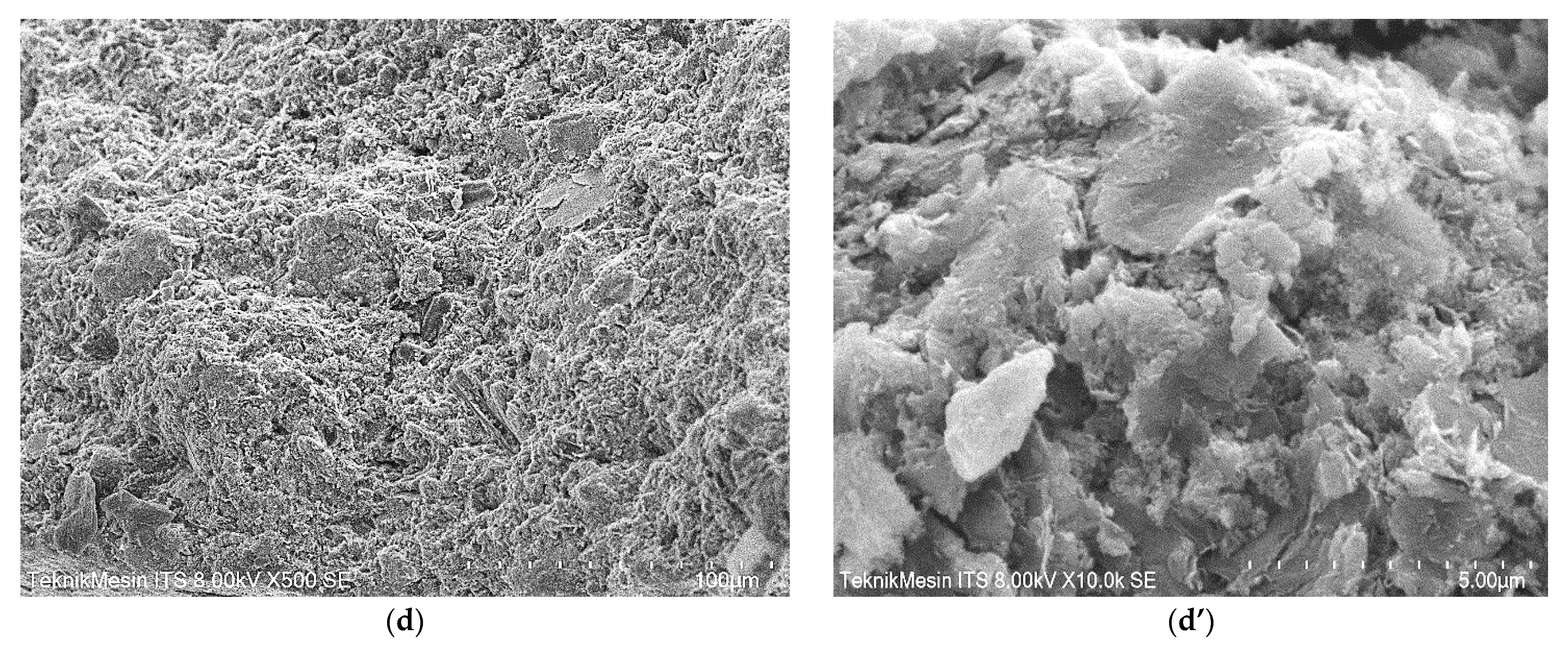 Membranes 11 00966 g011b