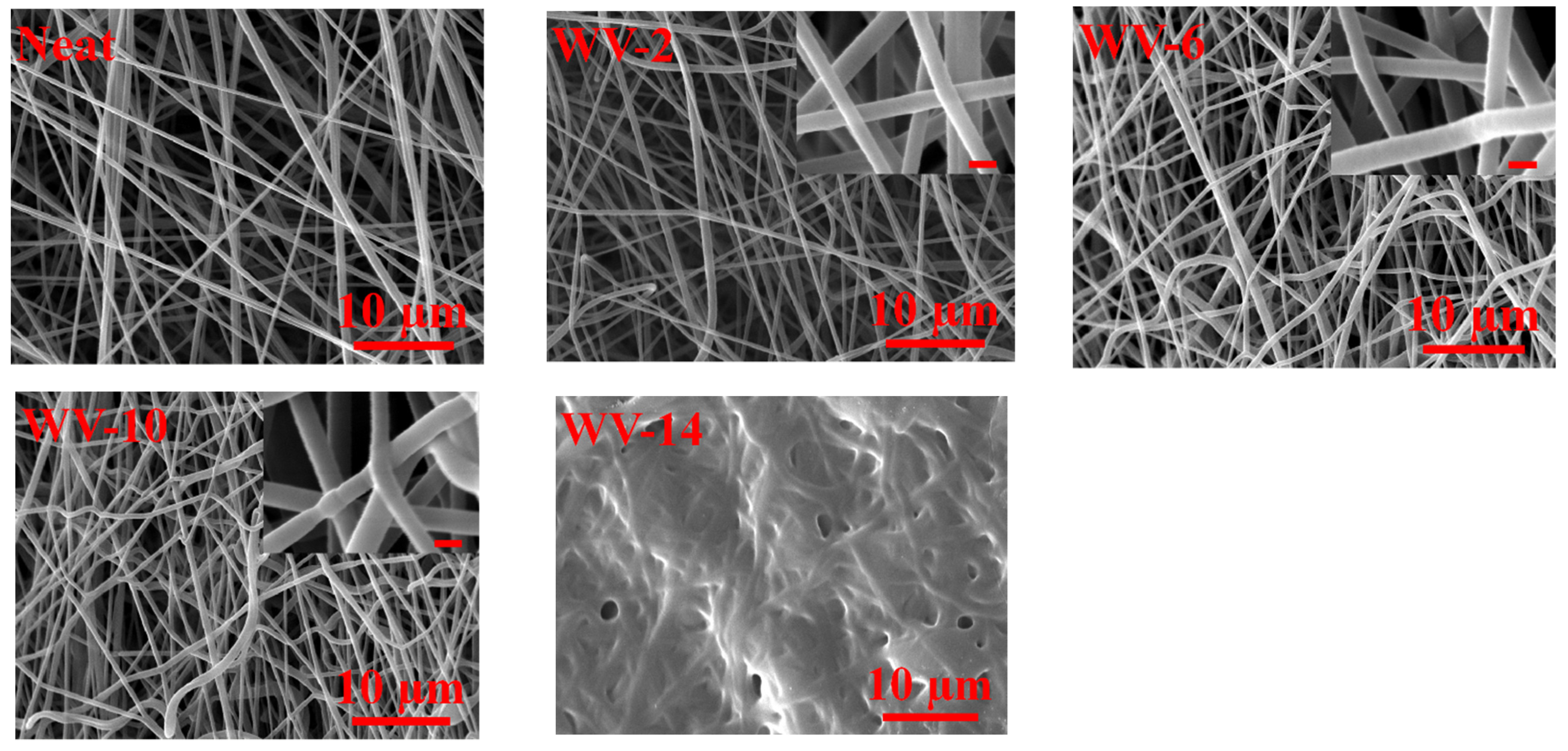Membranes 11 00969 g002 550