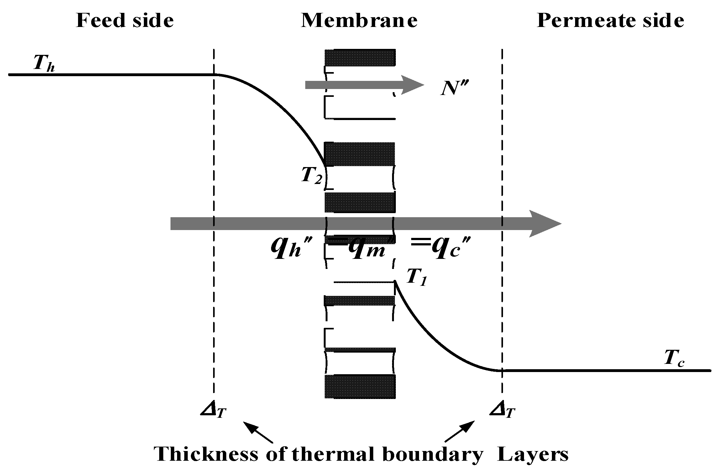 Membranes 11 00973 g003