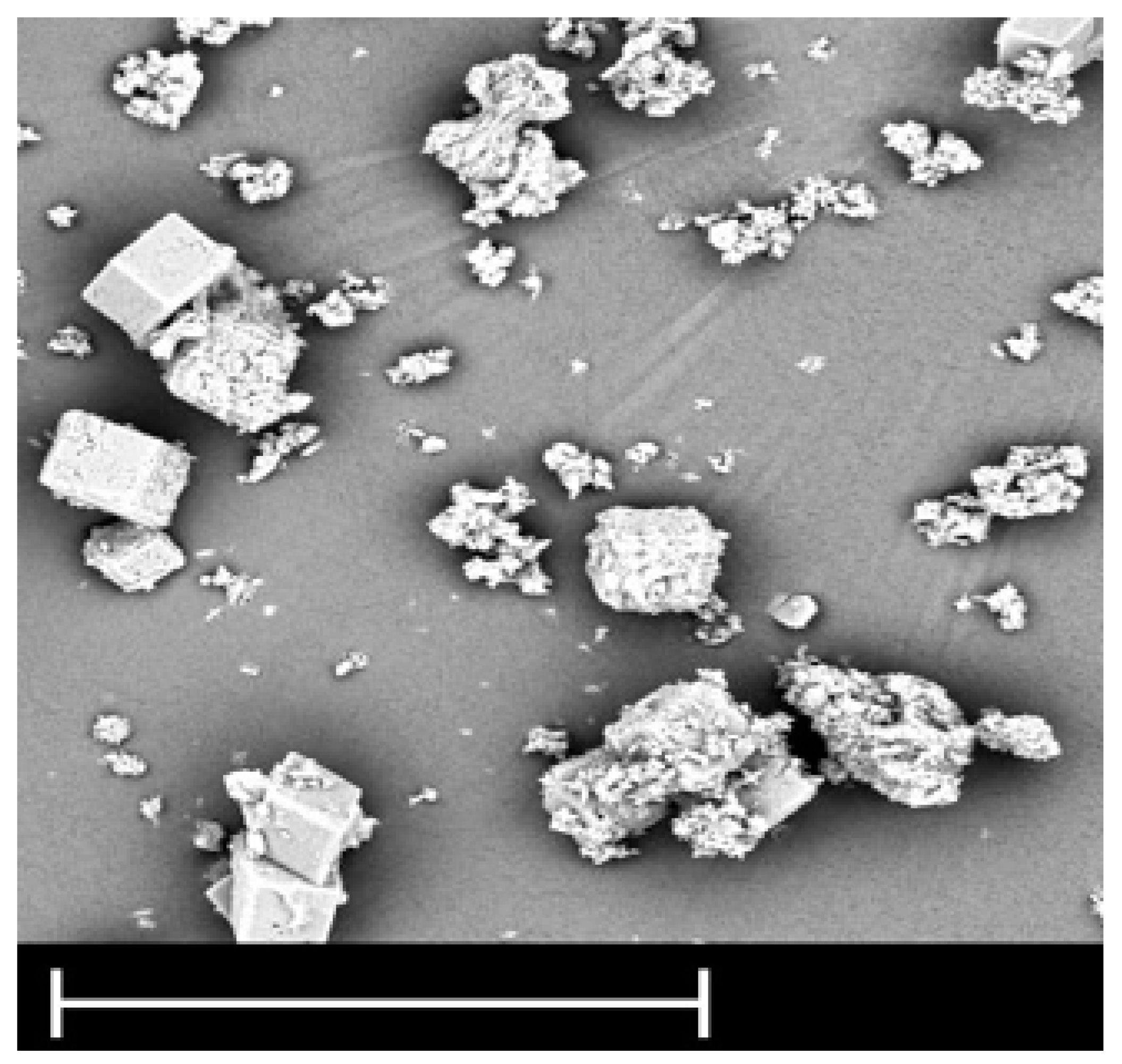 Membranes 11 00976 g006