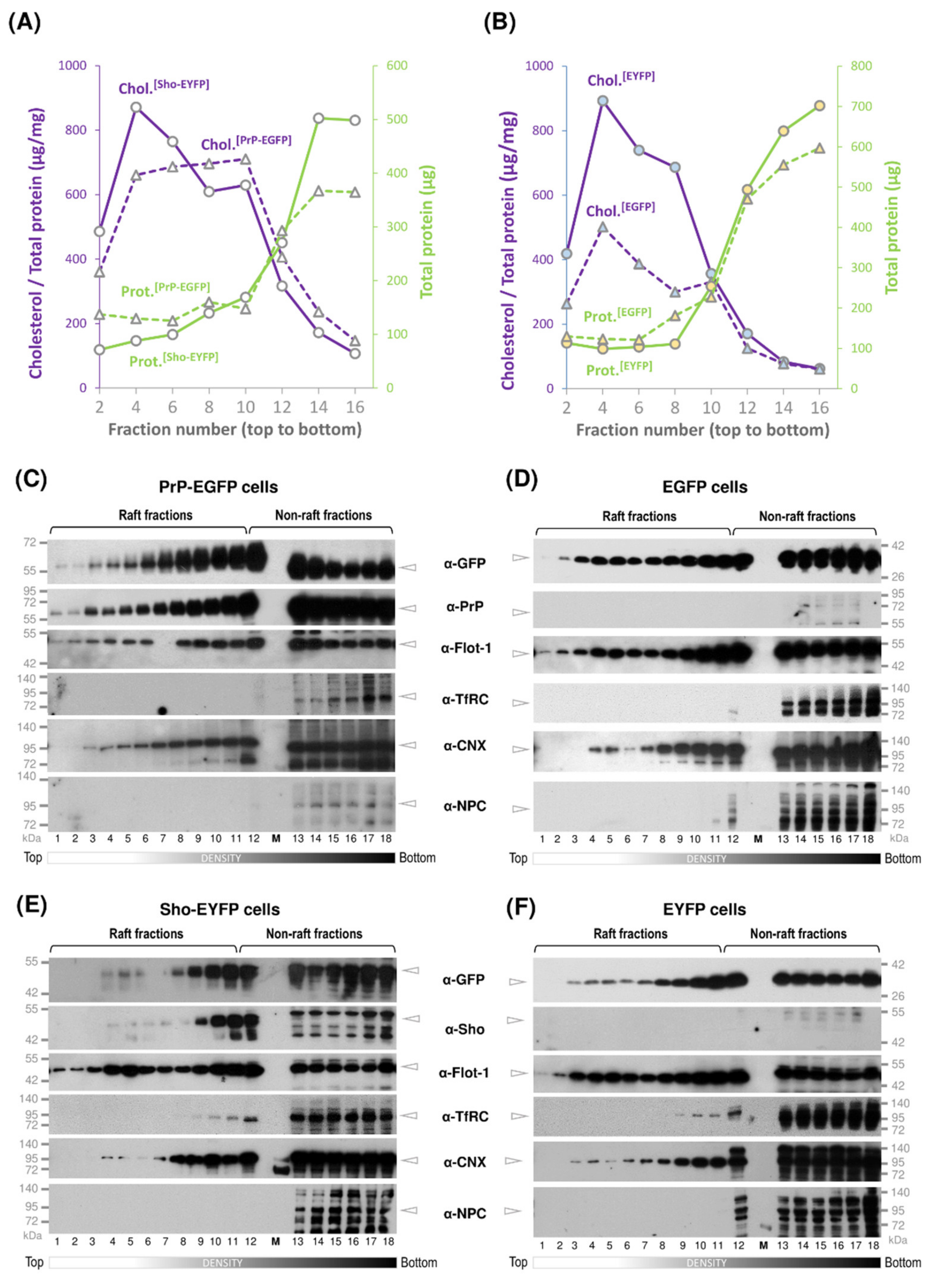 Membranes 11 00978 g003