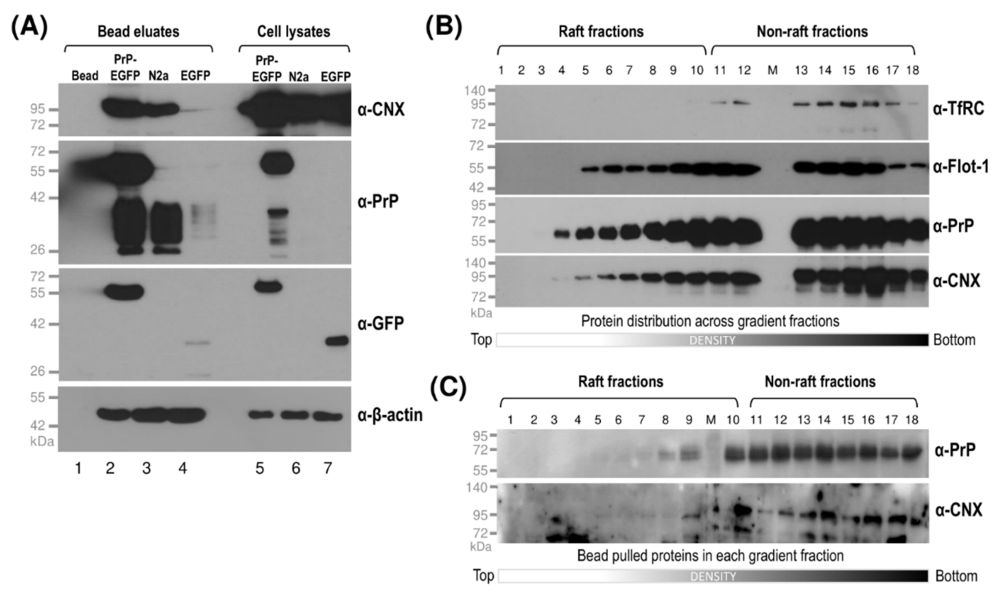 Membranes 11 00978 g006
