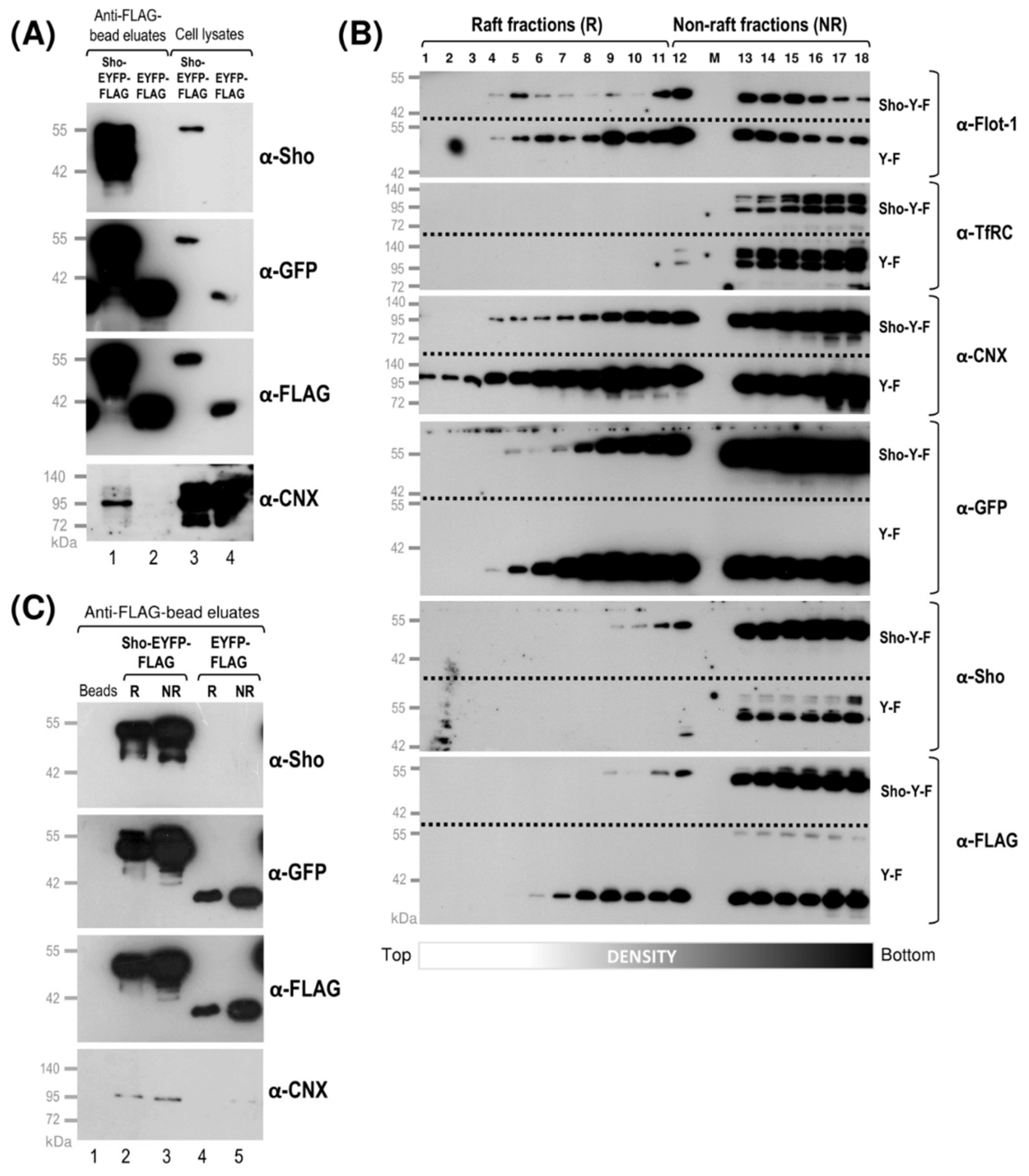 Membranes 11 00978 g007