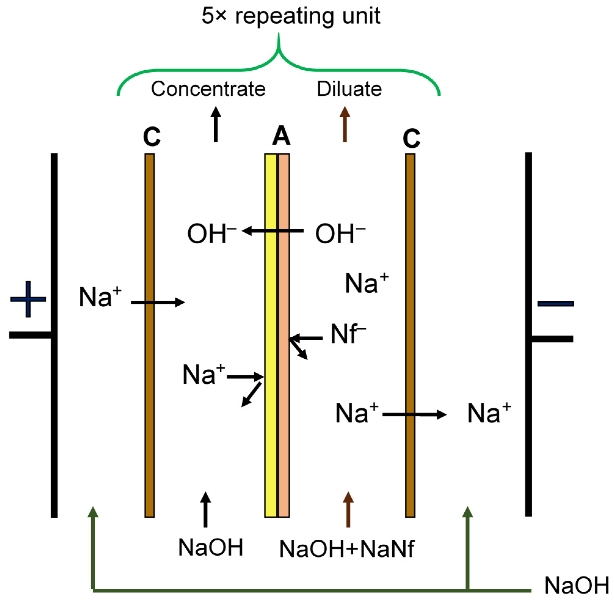 Membranes 11 00980 g001