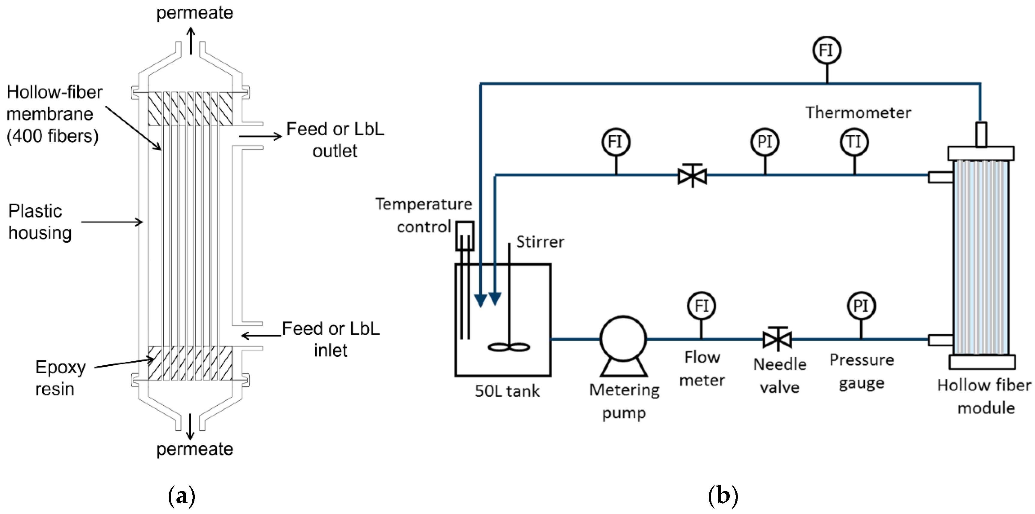 Membranes 11 00981 g001