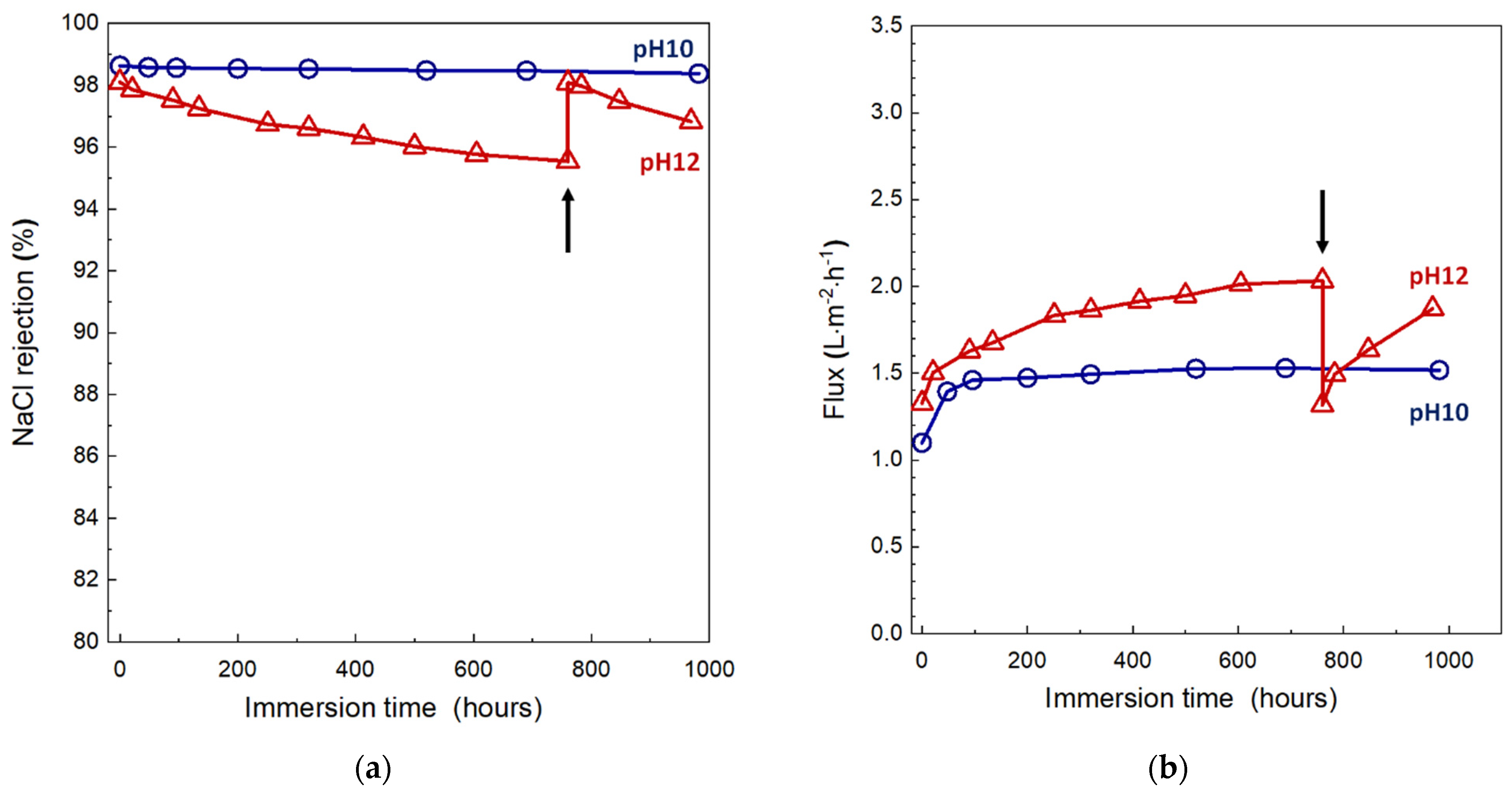 Membranes 11 00981 g012