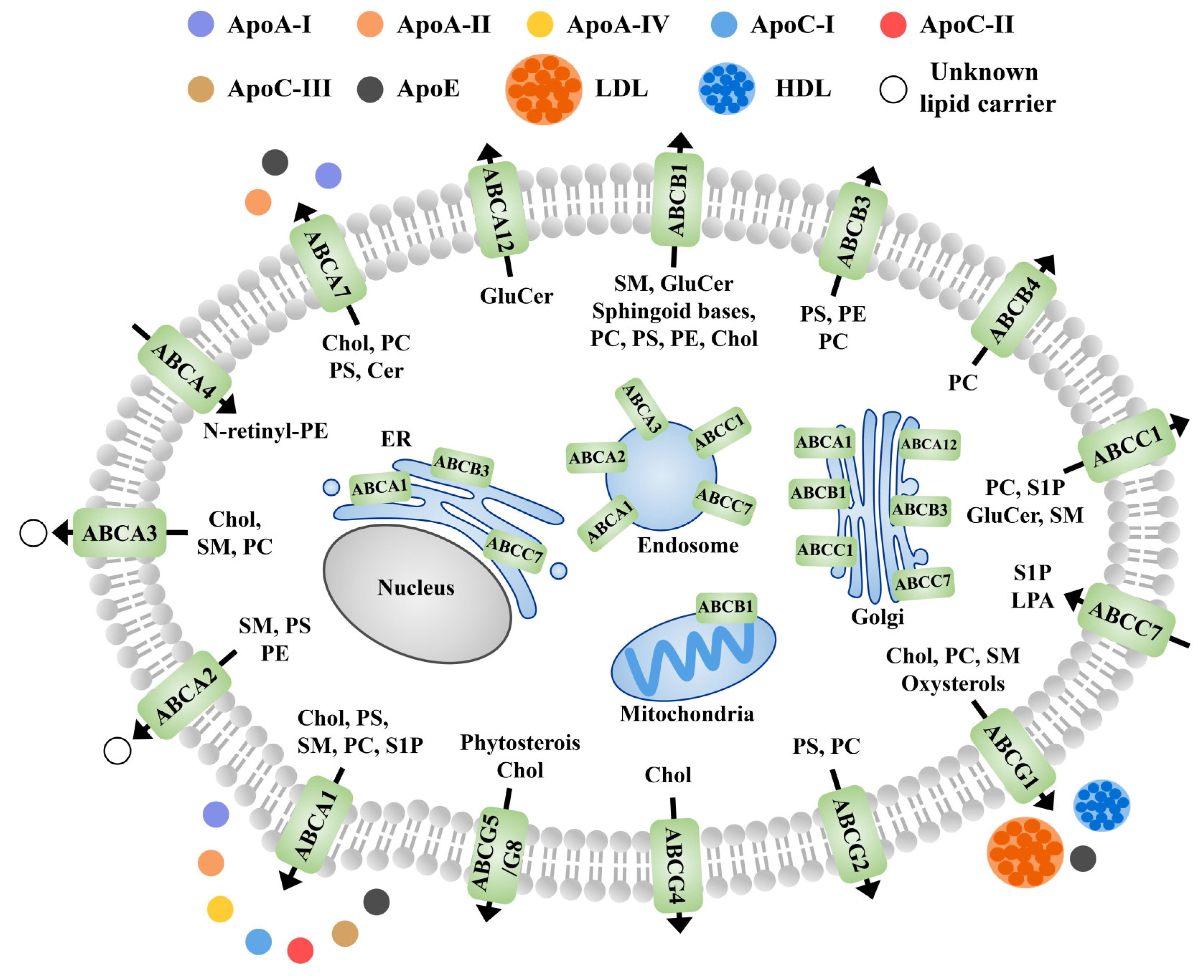 Membranes 11 00984 g010 Membranes 11 00984 g010