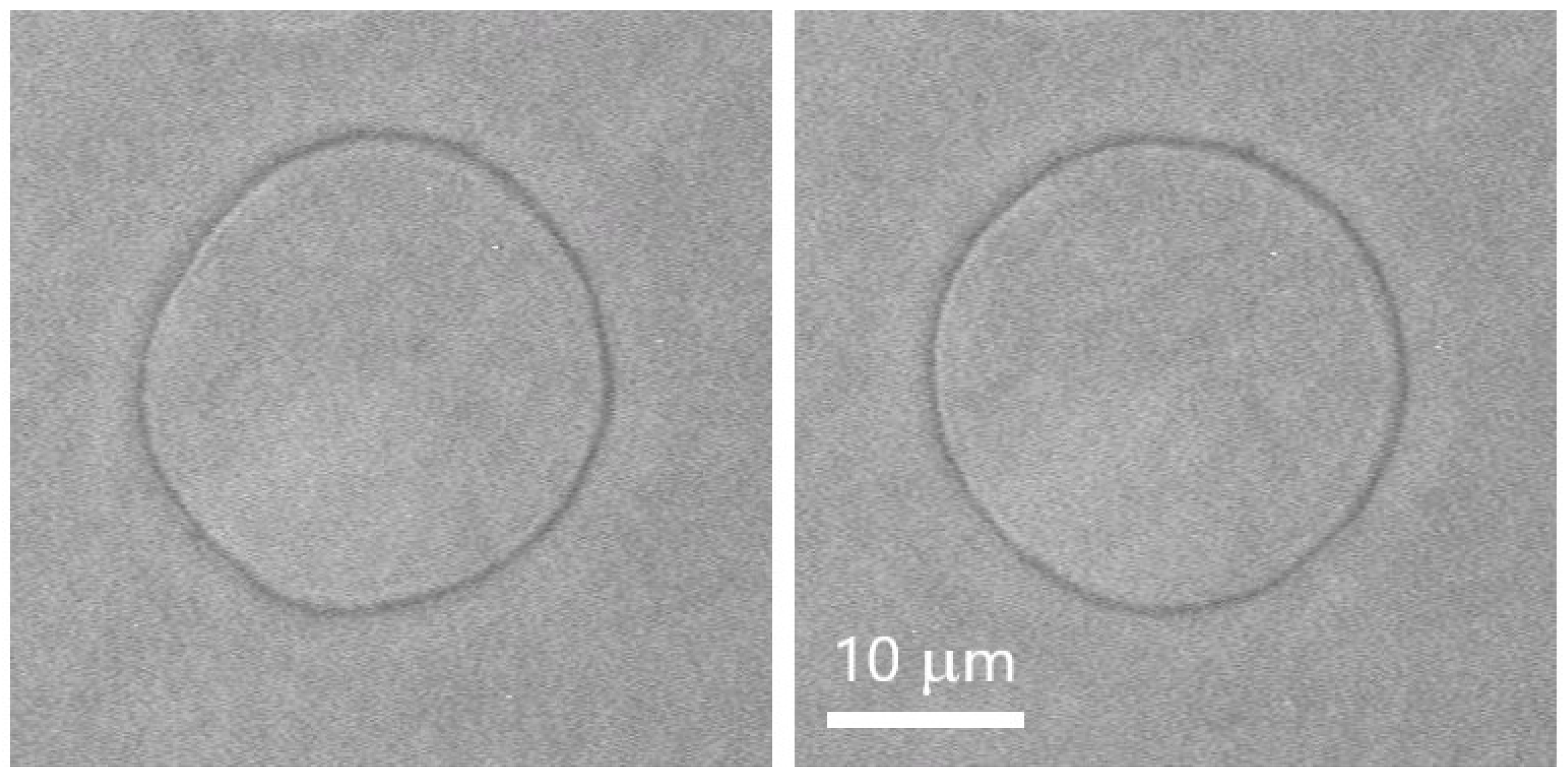 Membranes 11 00987 g001