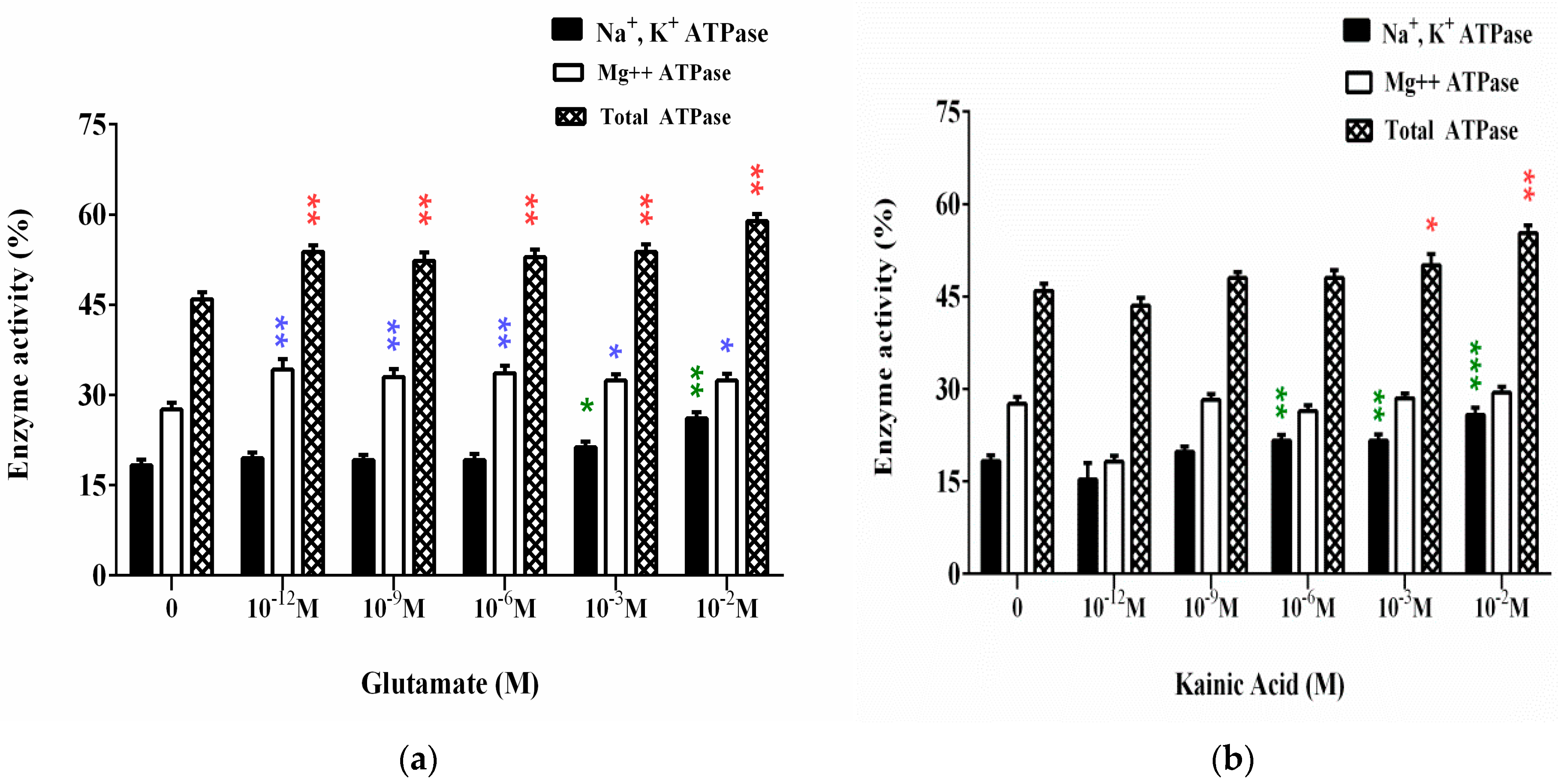 Membranes 11 00987 g002
