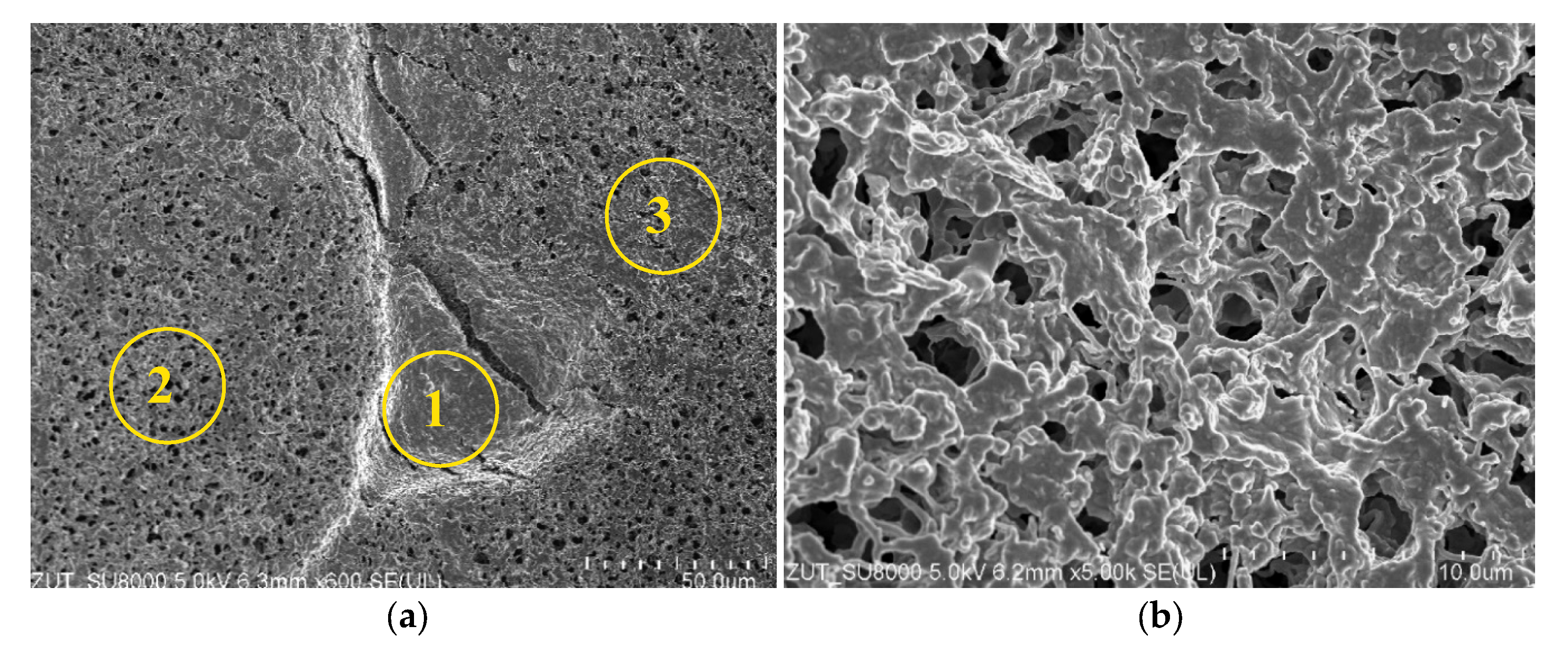 Membranes 11 00988 g015