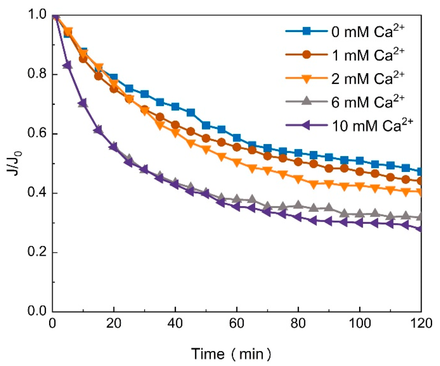 Membranes 11 00990 g004