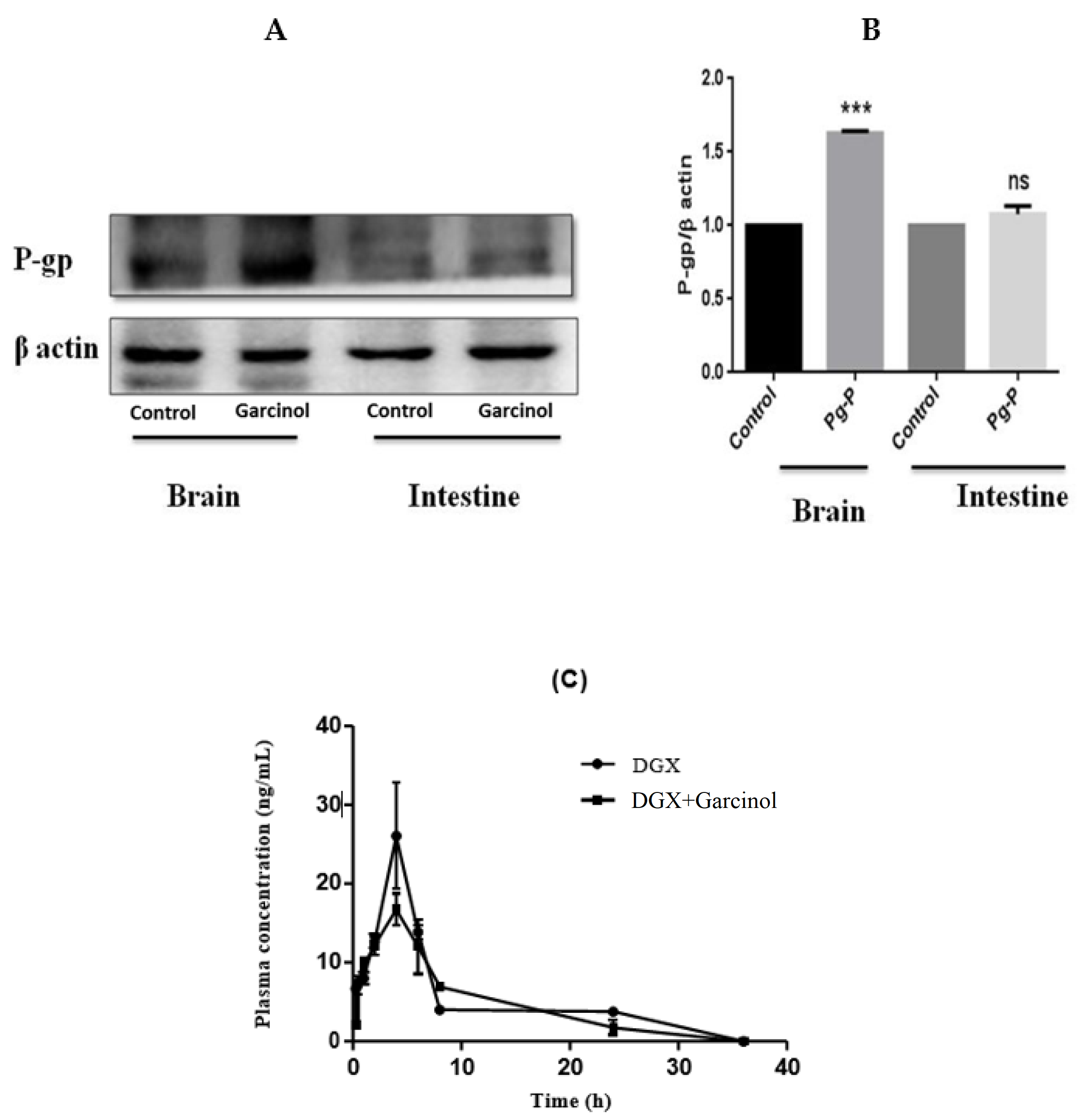 Membranes 11 00992 g003