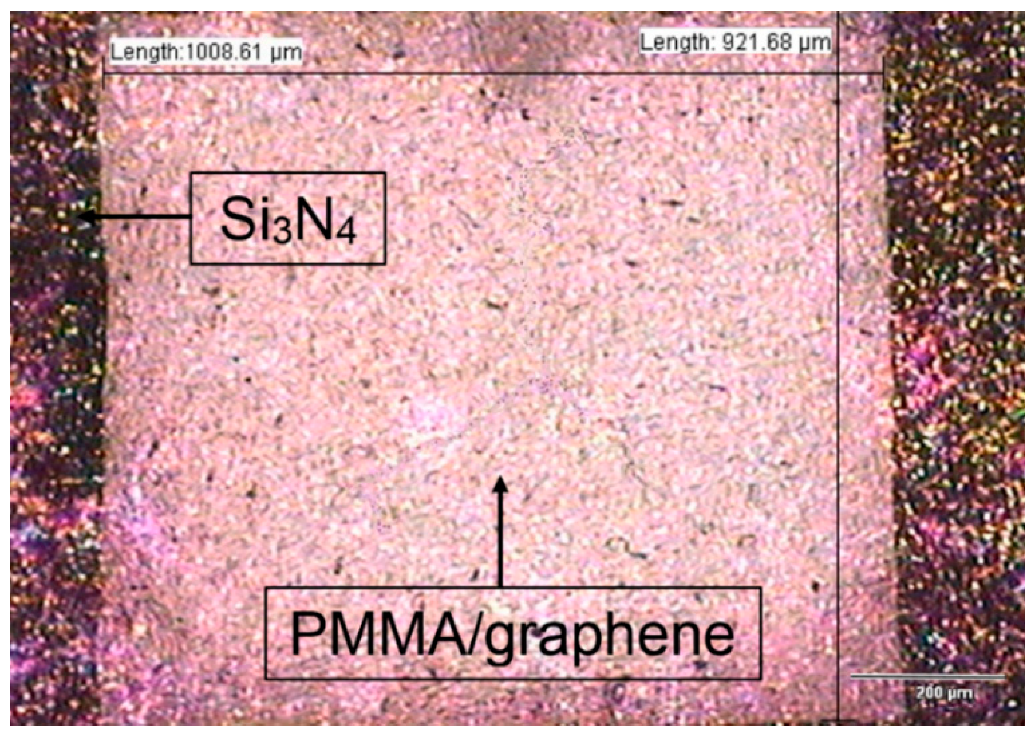 Membranes 11 00996 g004 Membranes 11 00996 g004