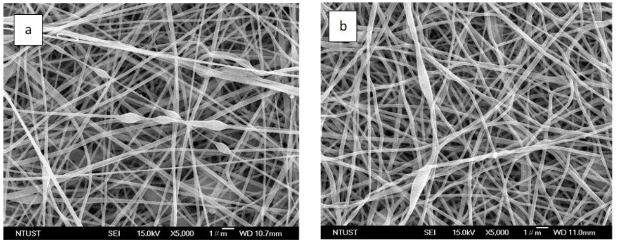 Membranes 11 00997 g002