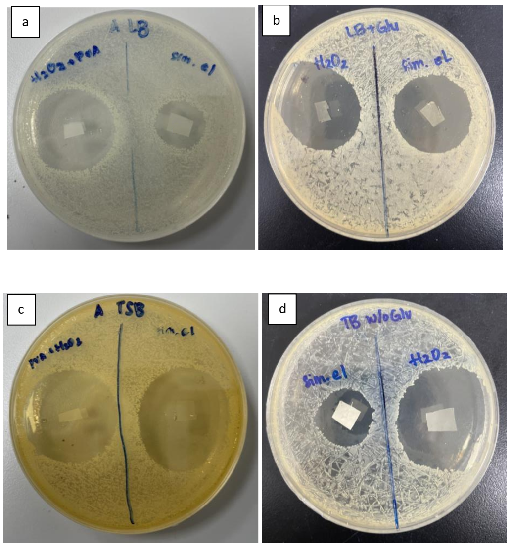 Membranes 11 00997 g007