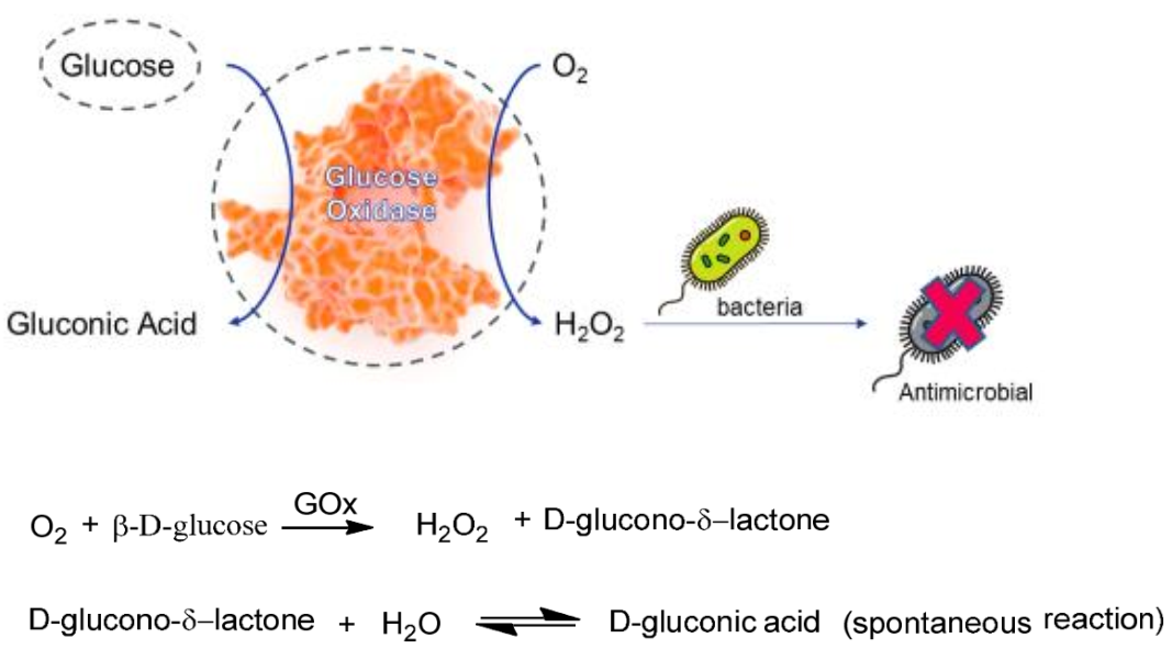 Membranes 11 00997 sch001