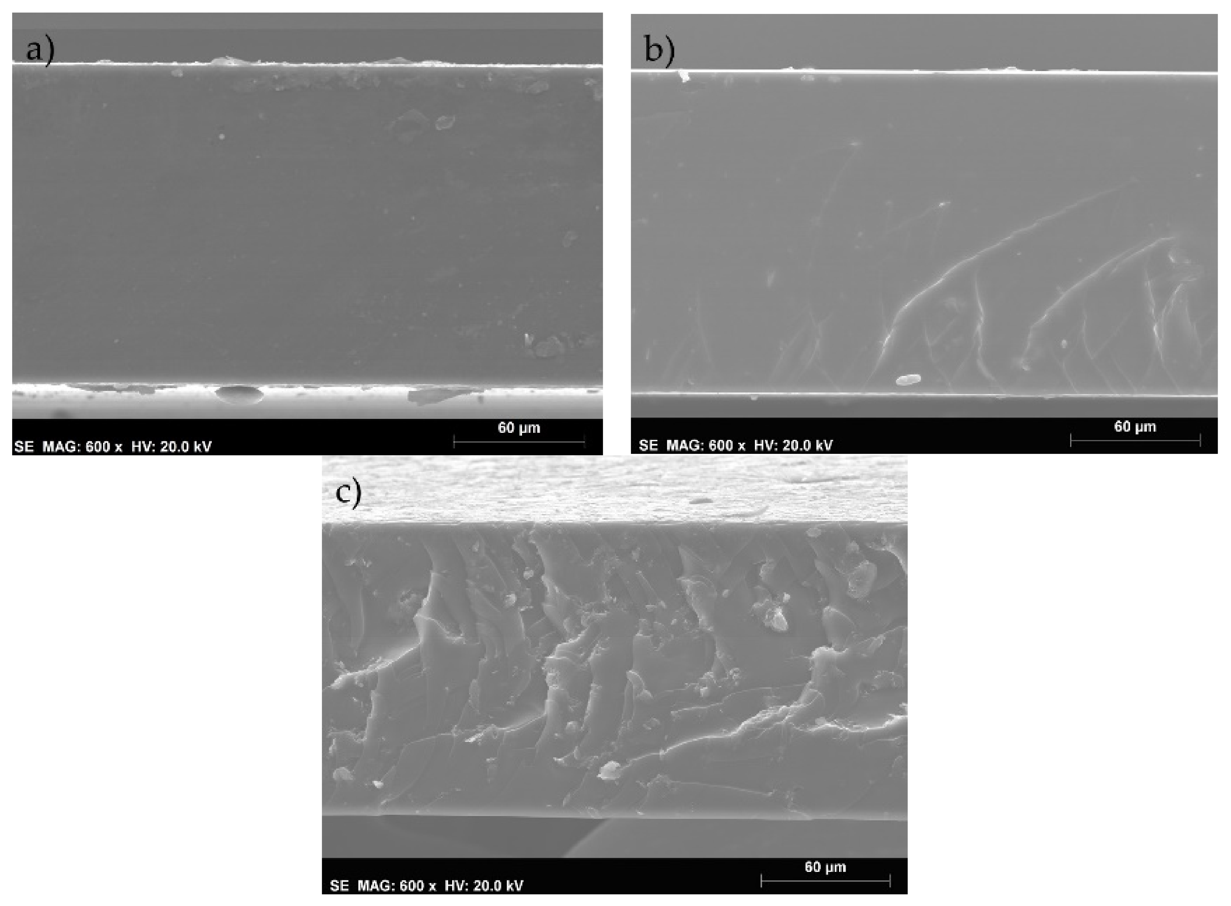 Membranes 11 00998 g002