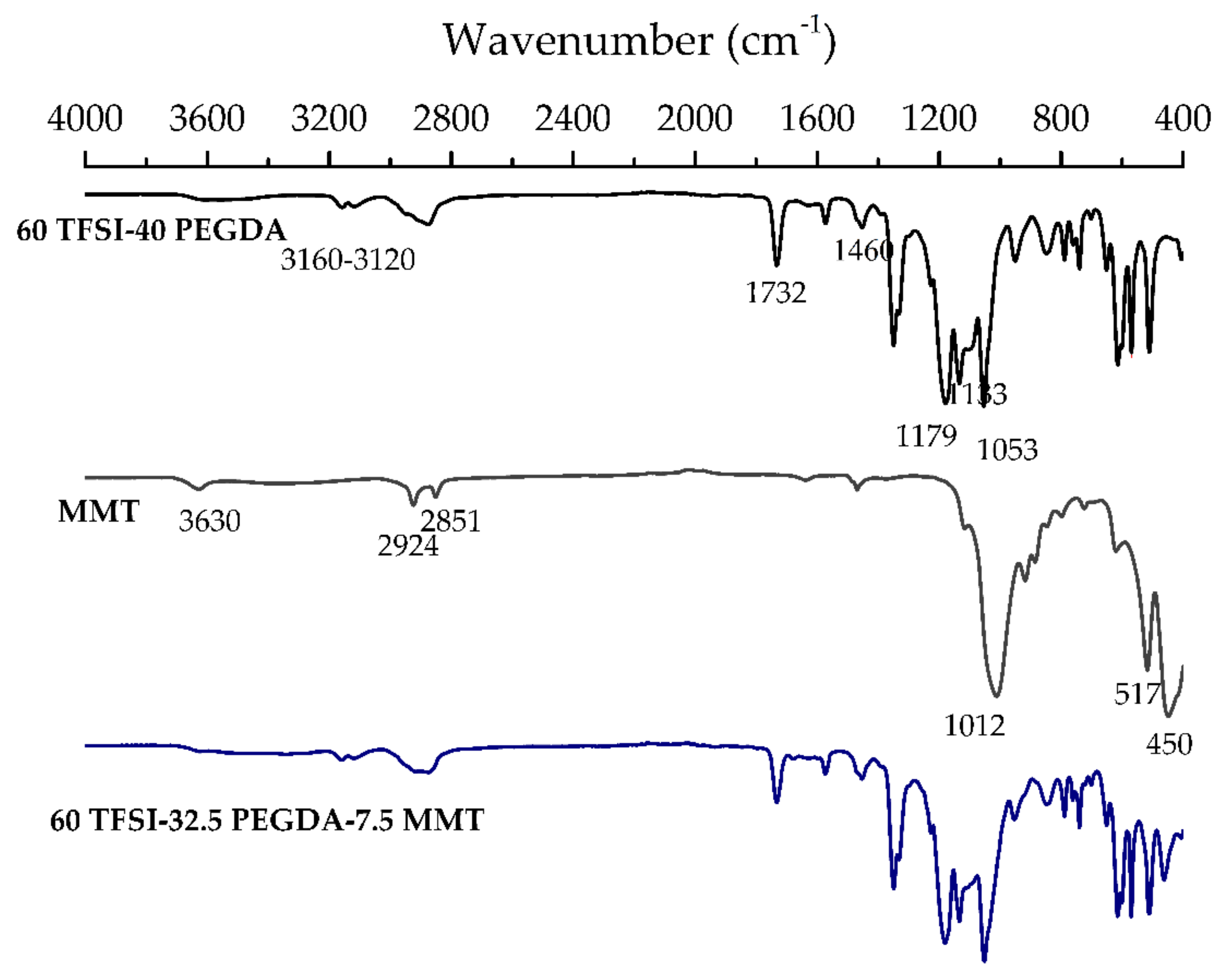 Membranes 11 00998 g003
