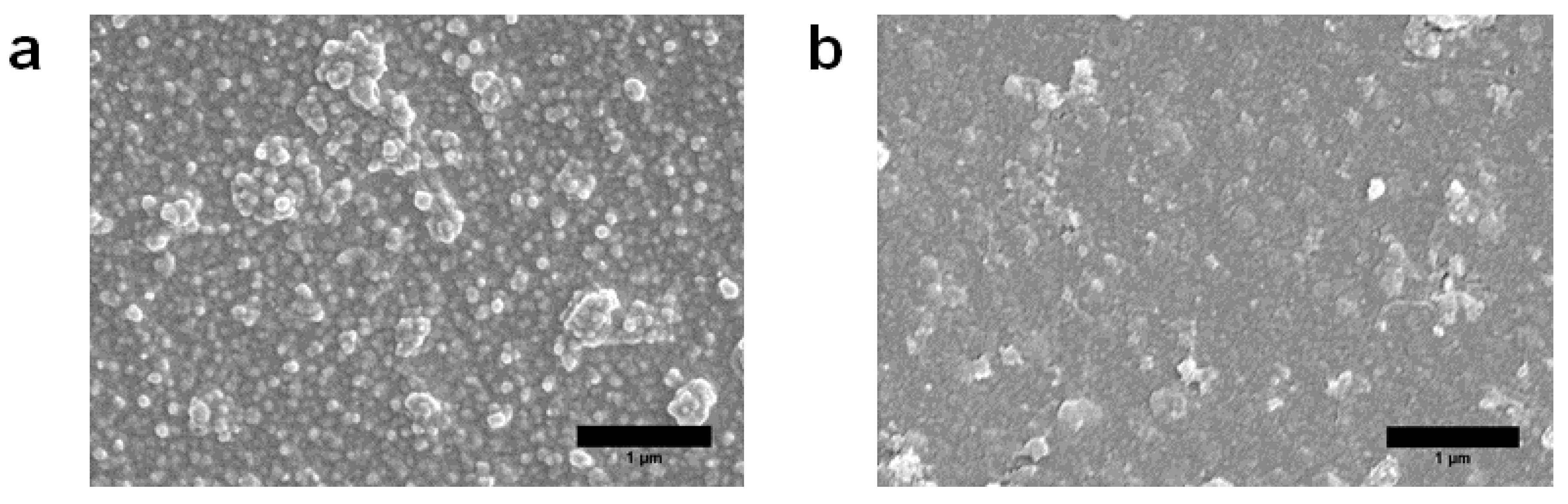 Membranes 12 00002 g011 550