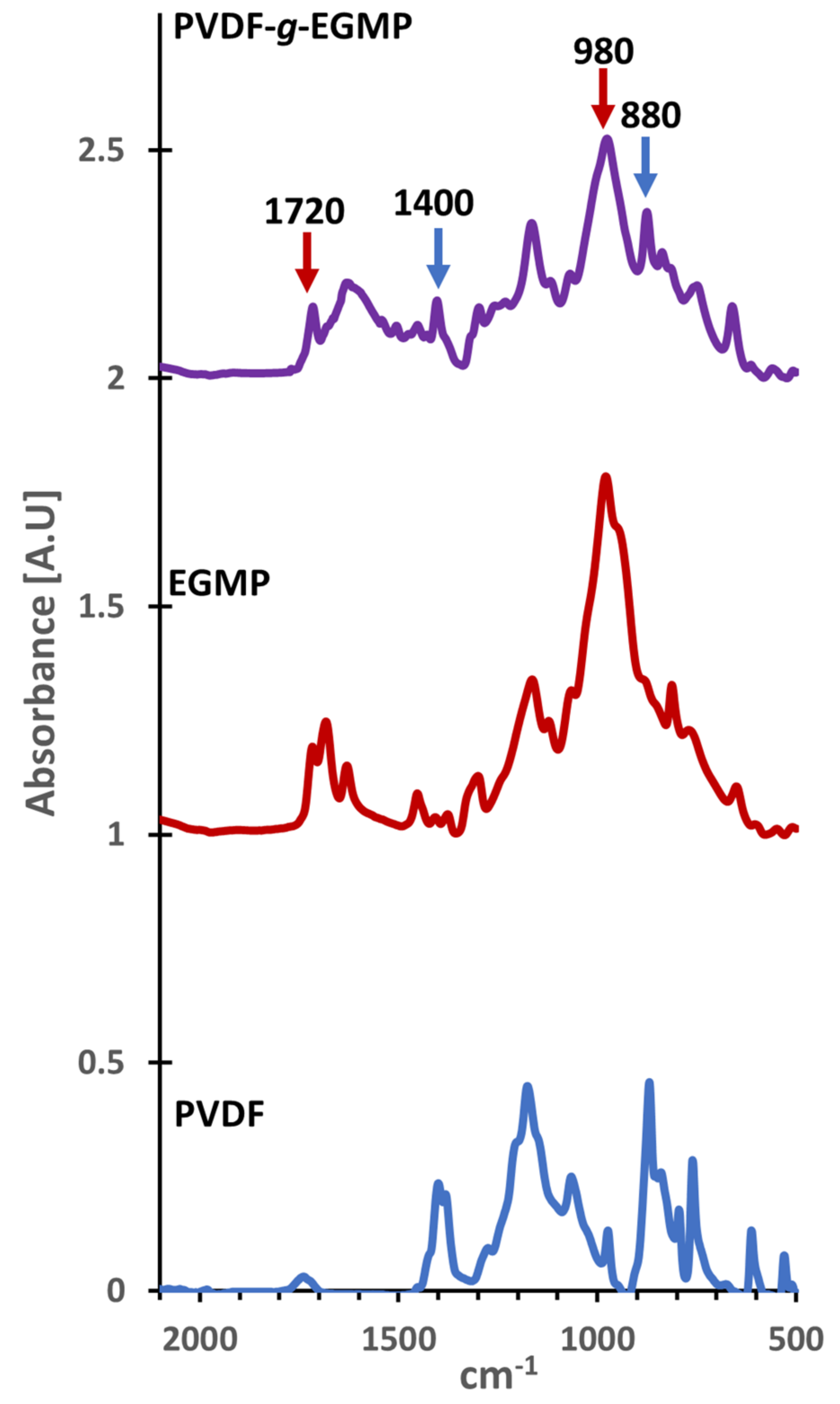 Membranes 12 00003 g001