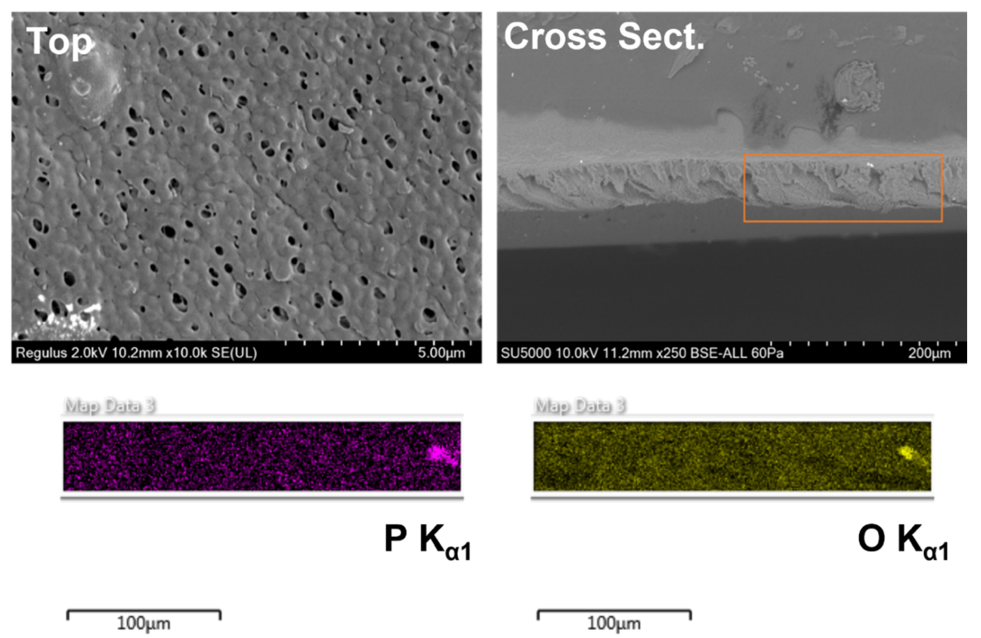 Membranes 12 00003 g007