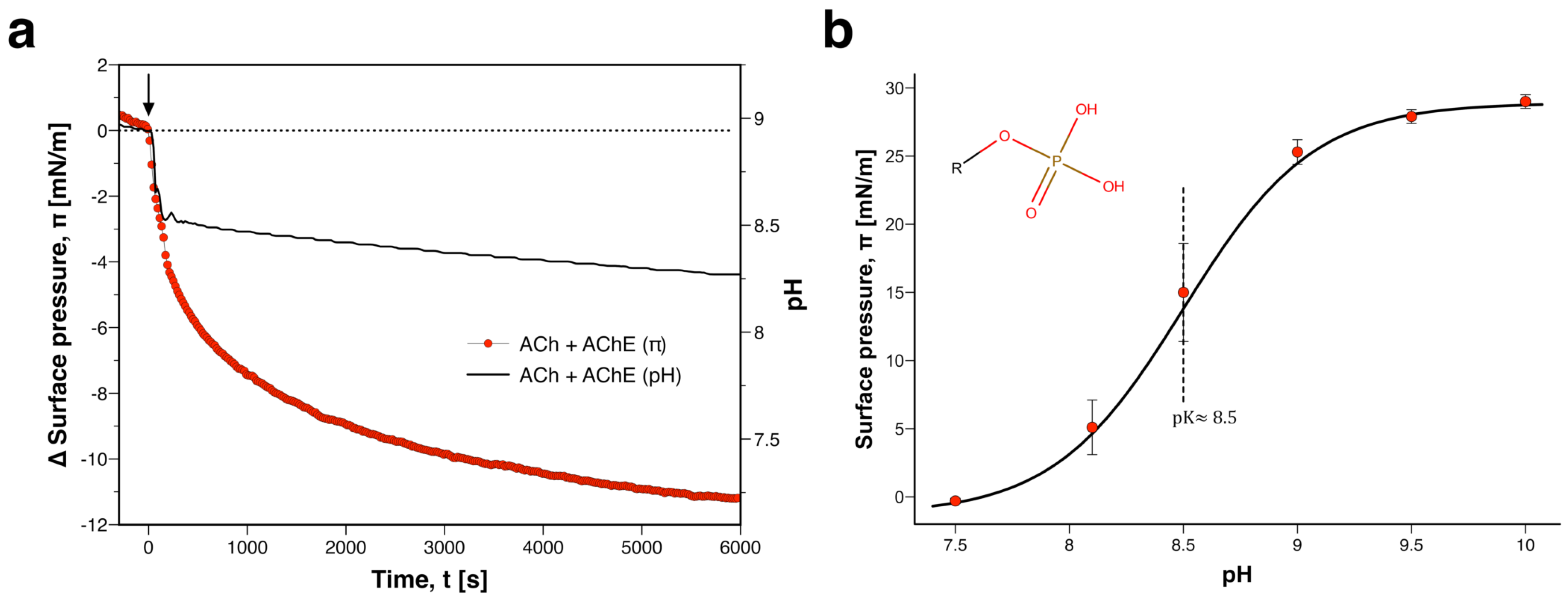 Membranes 12 00005 g004 Membranes 12 00005 g004
