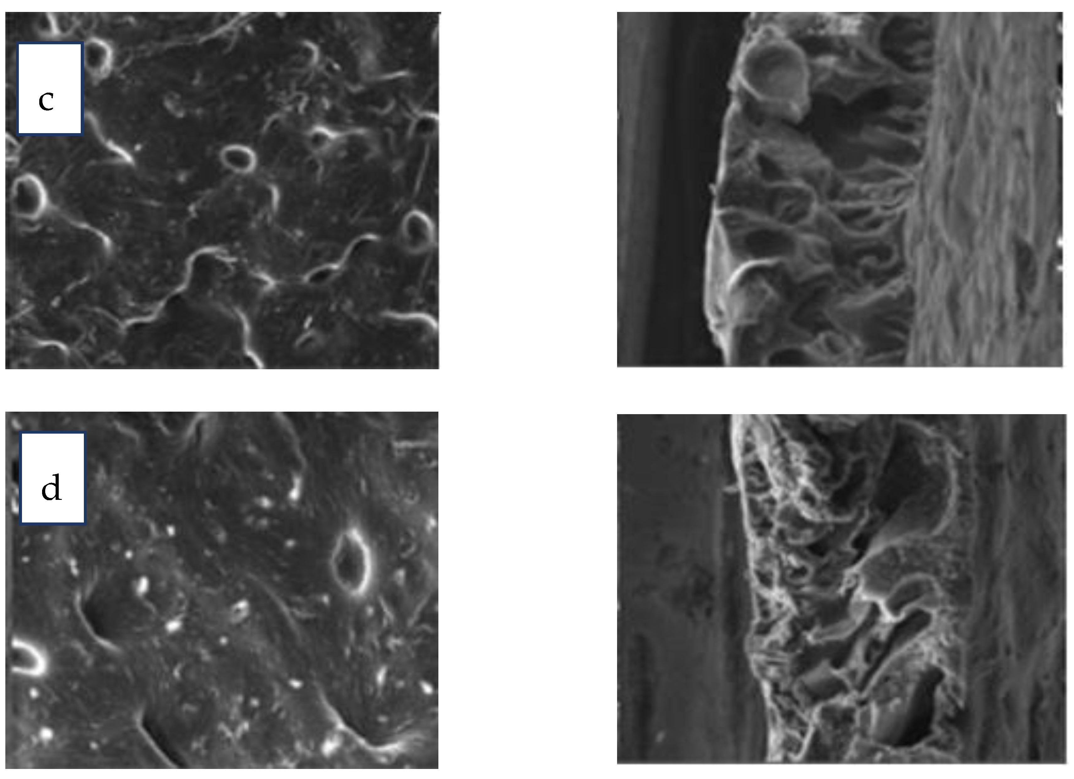 Membranes 12 00006 g005b 550