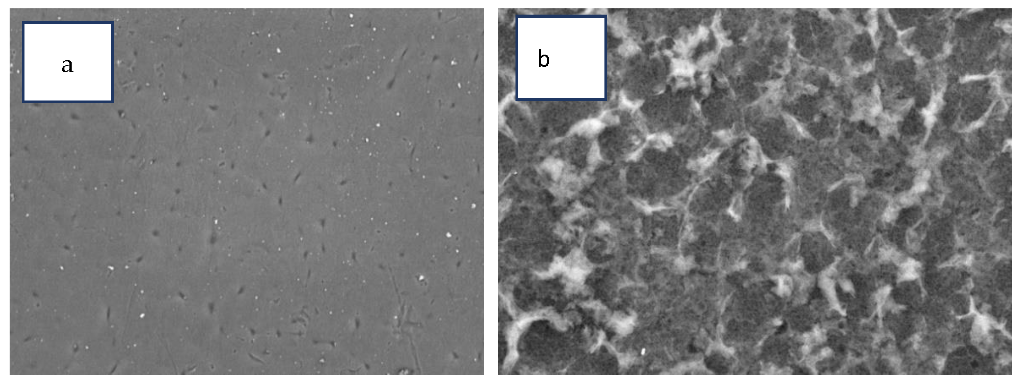 Membranes 12 00006 g010 550