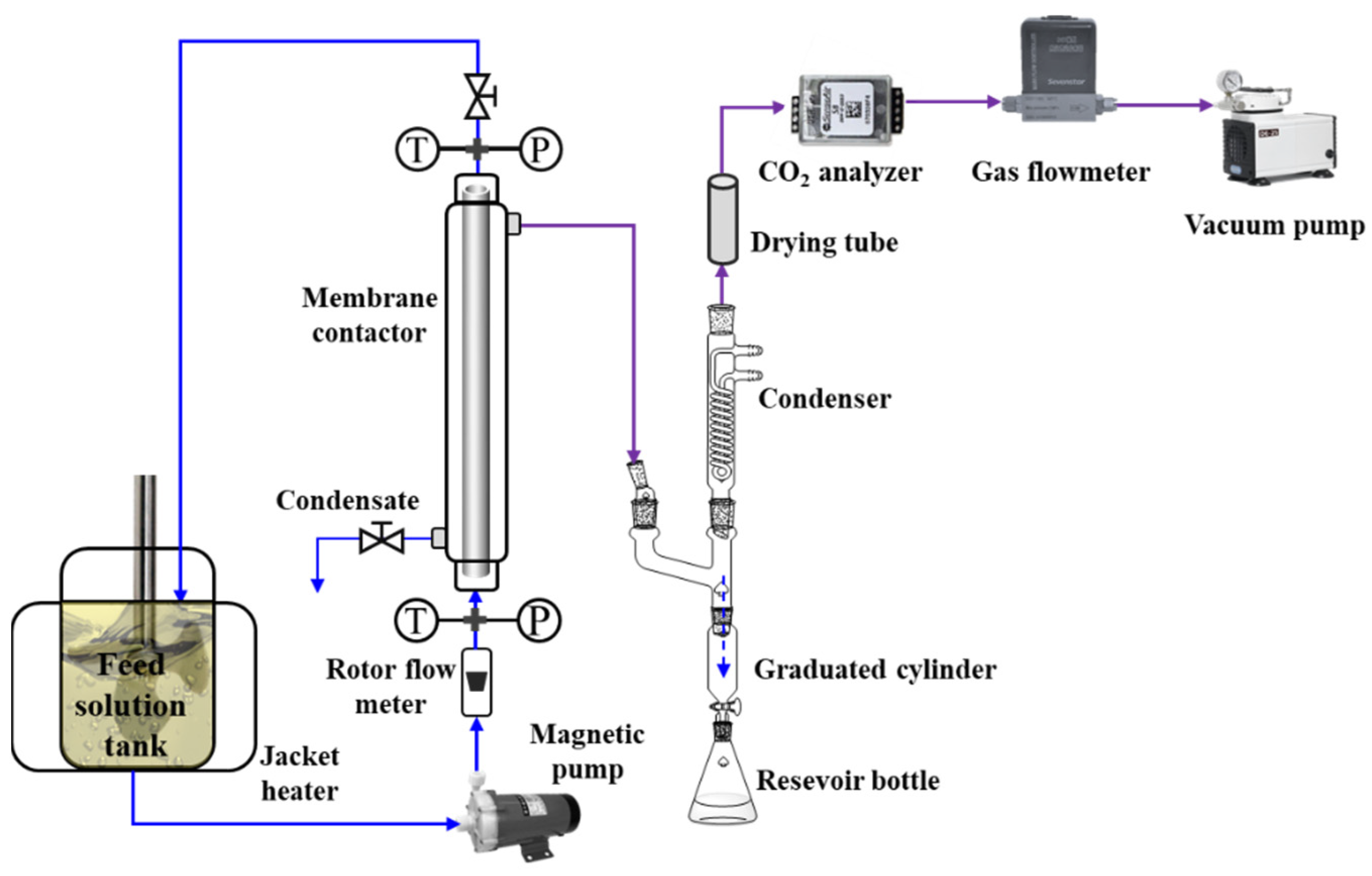 Membranes 12 00008 g002