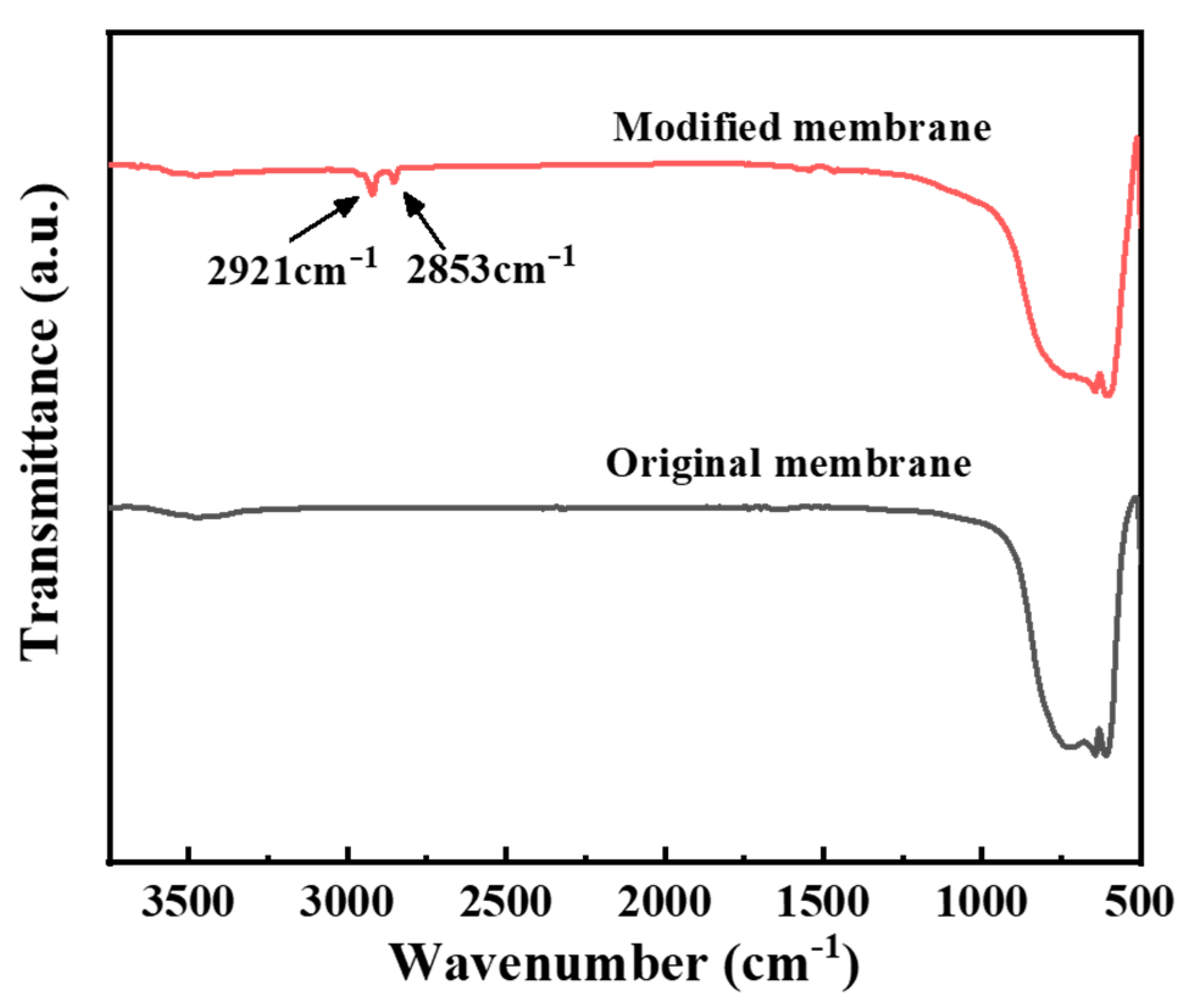 Membranes 12 00008 g004