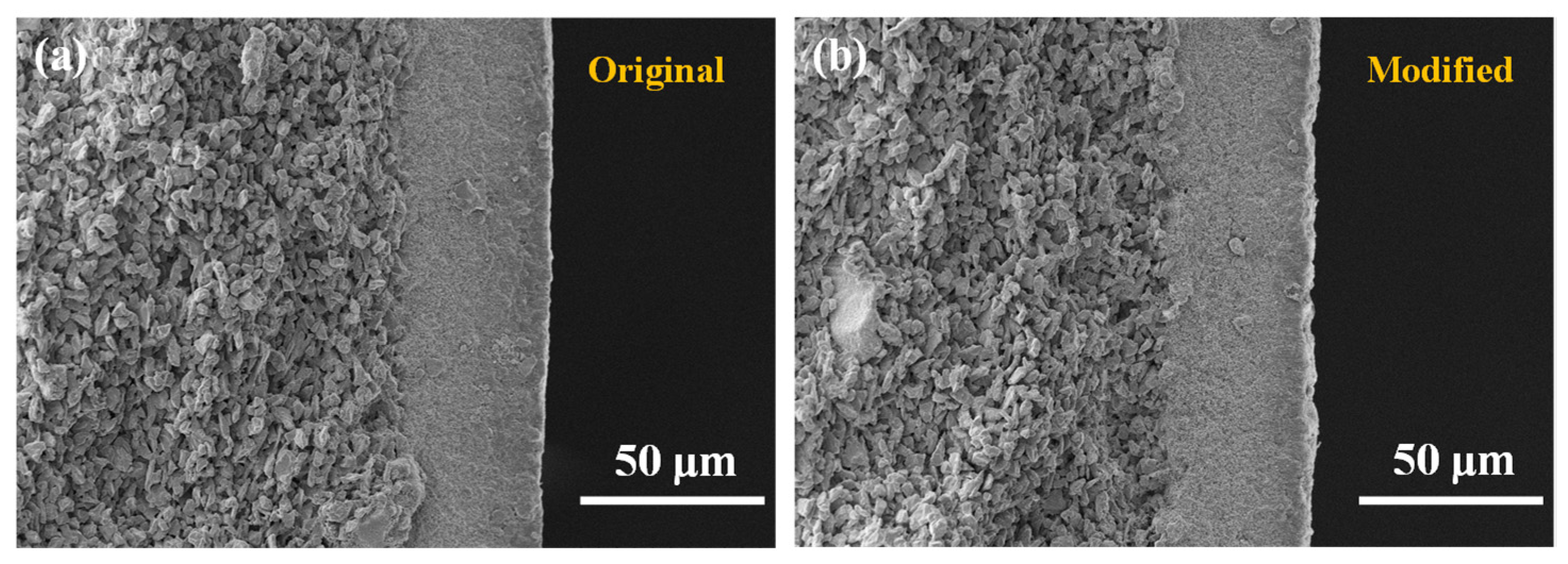 Membranes 12 00008 g005