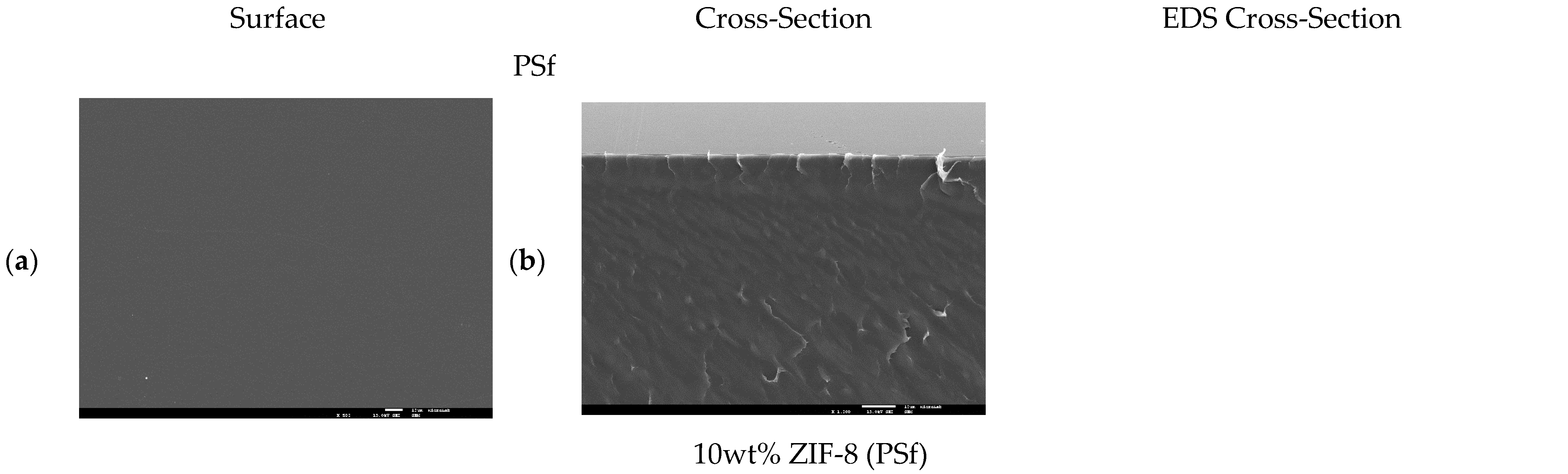 Membranes 12 00013 g0a8a 550