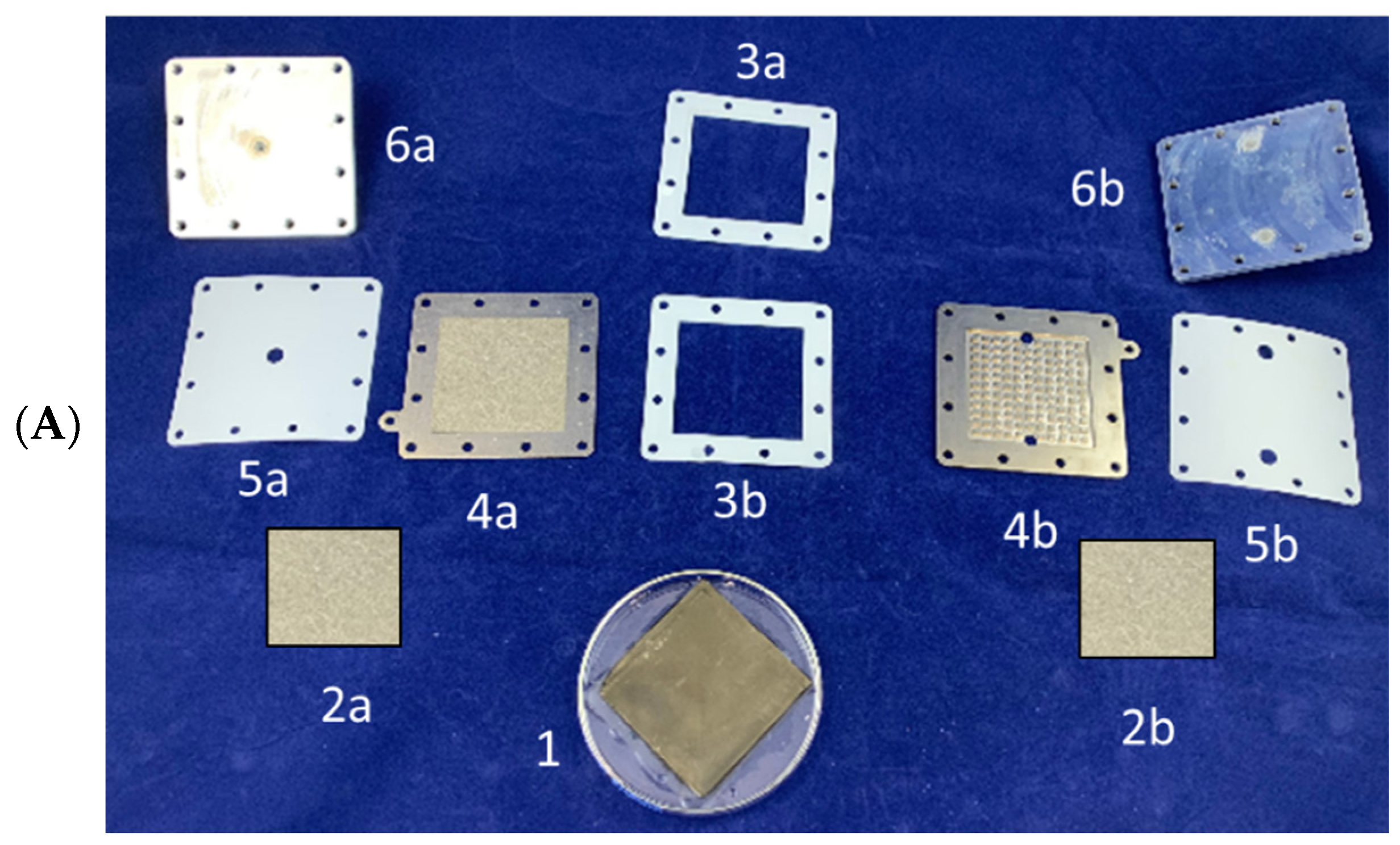 Membranes 12 00015 g004a