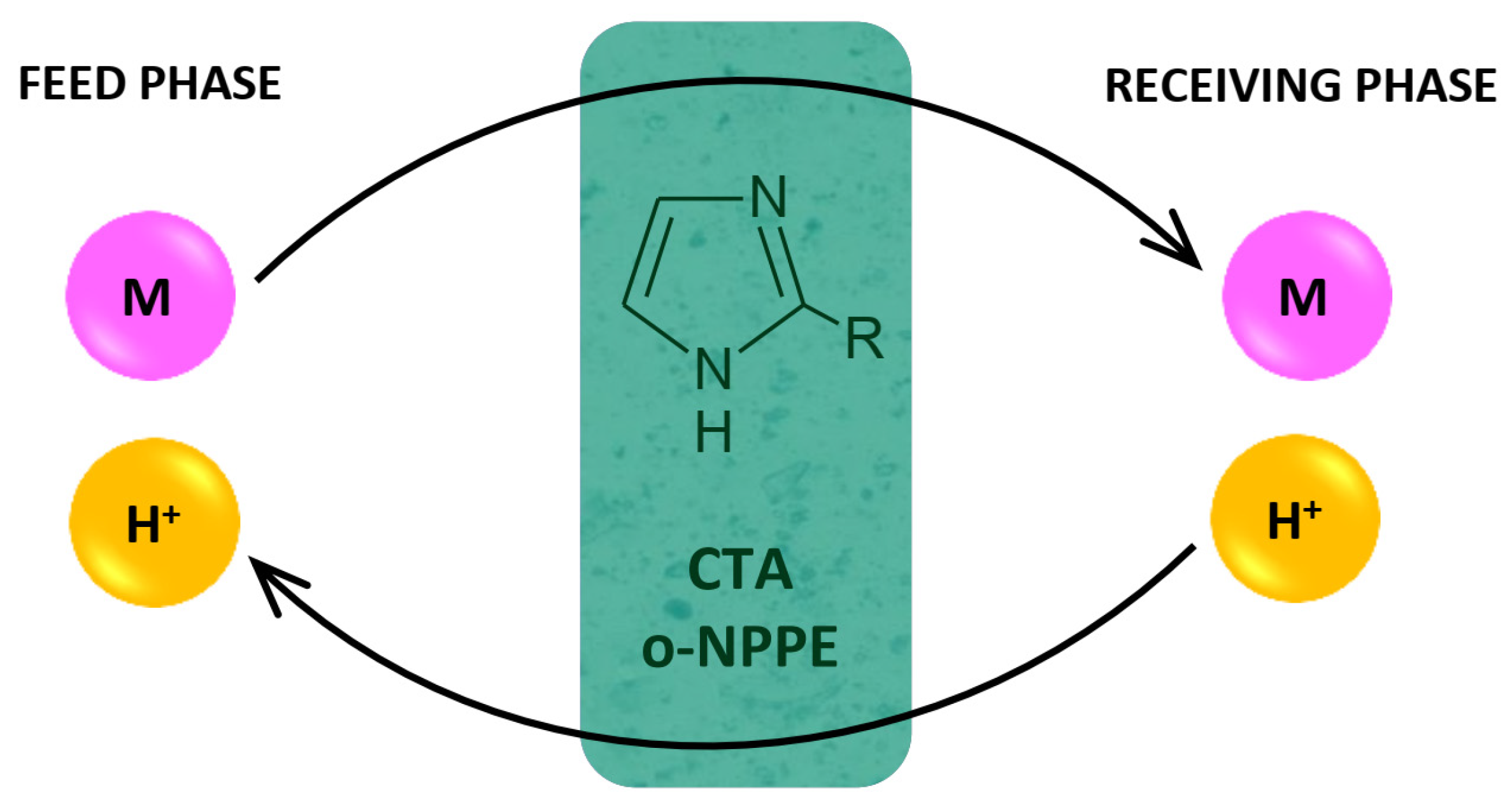Membranes 12 00016 g004