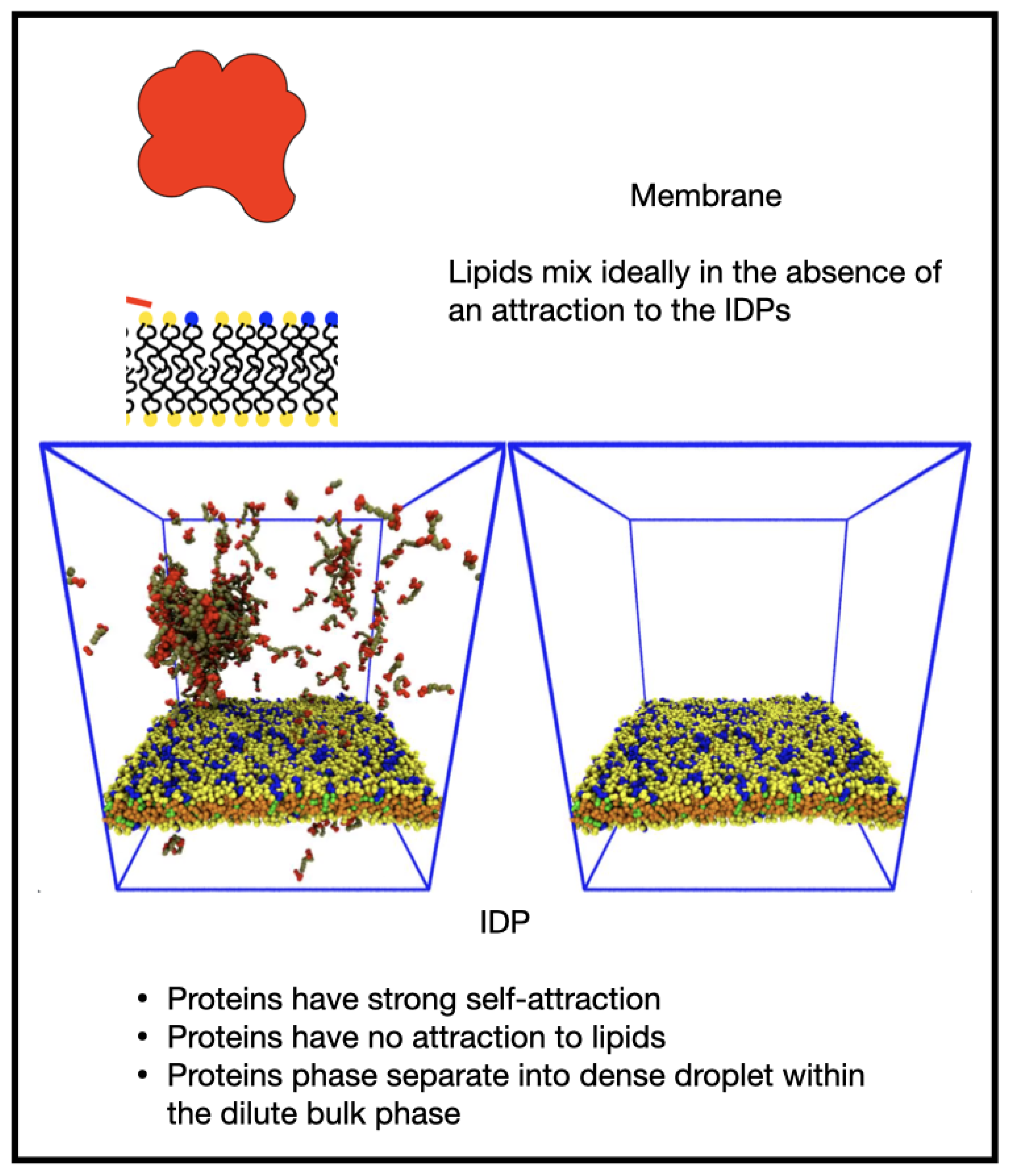 Membranes 12 00017 g005 550