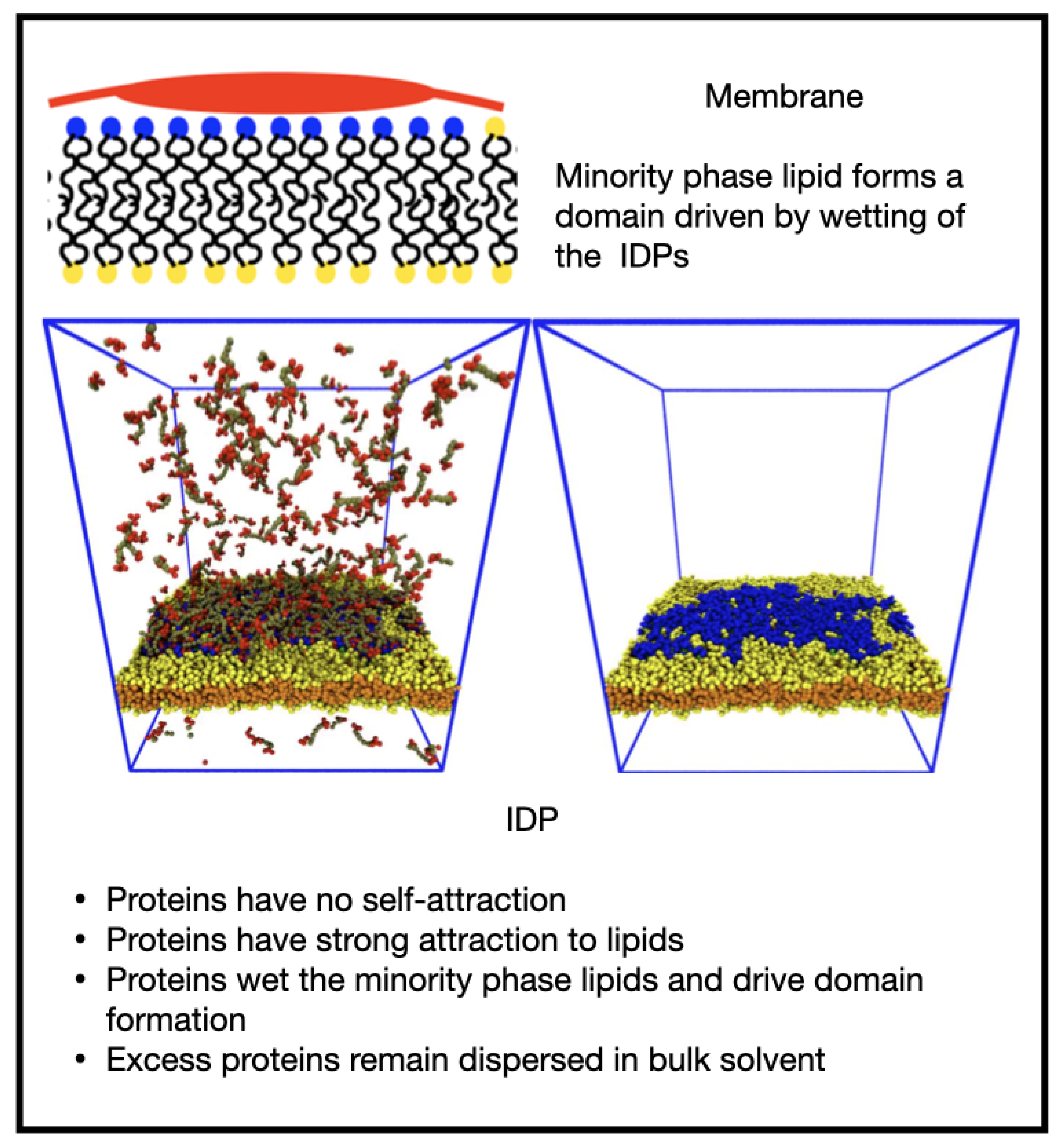 Membranes 12 00017 g006 550