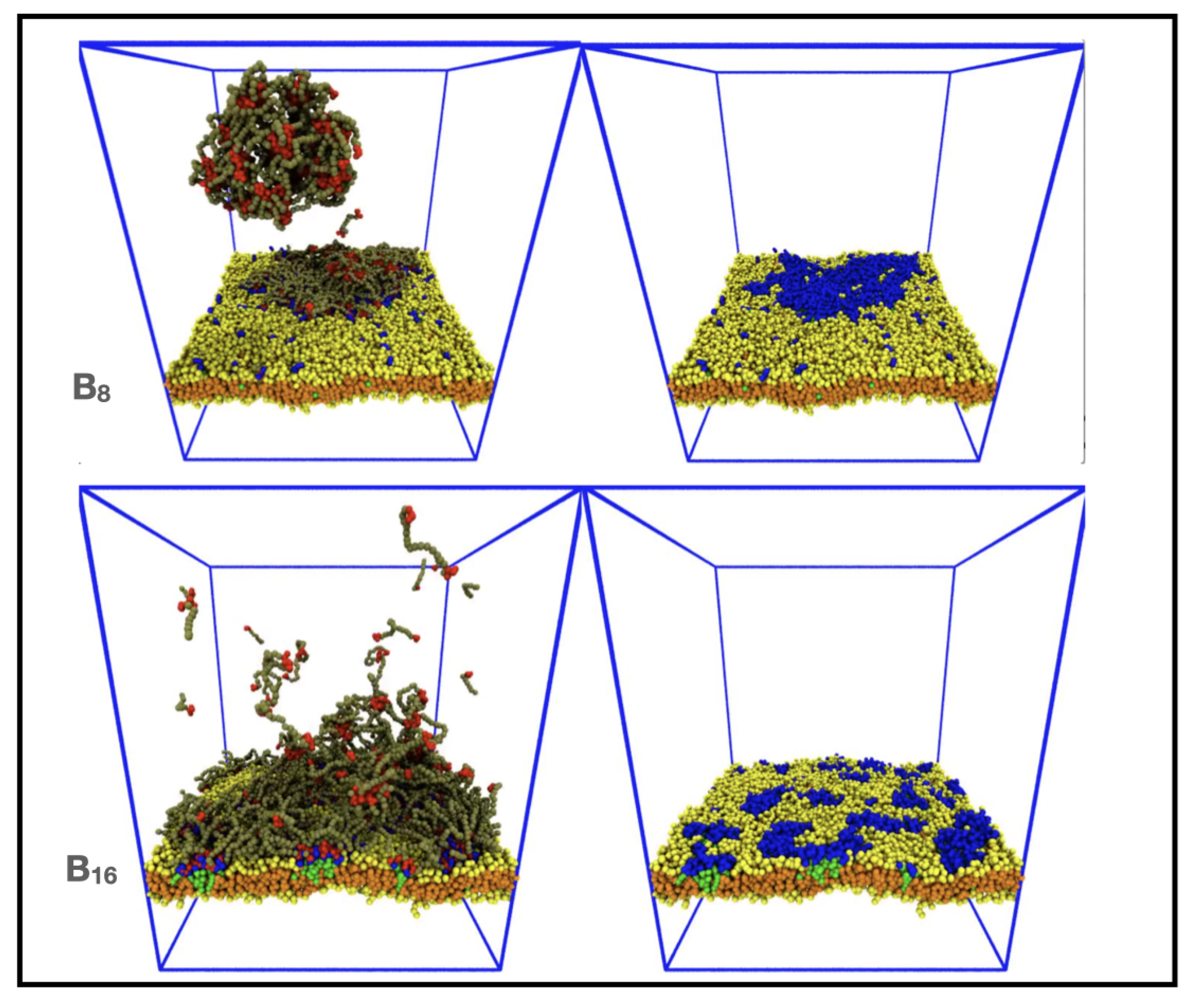 Membranes 12 00017 g010 550