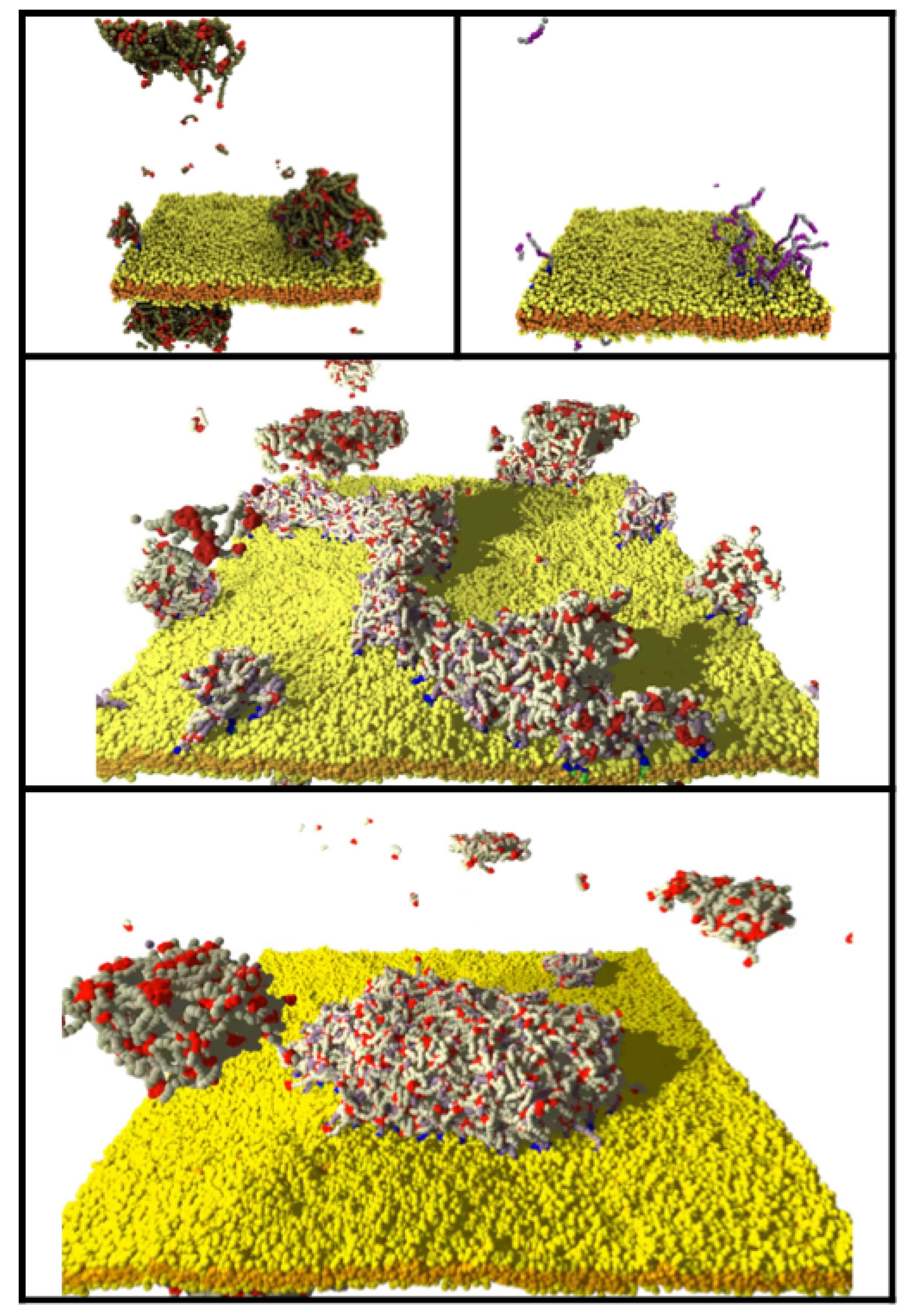 Membranes 12 00017 g011 550